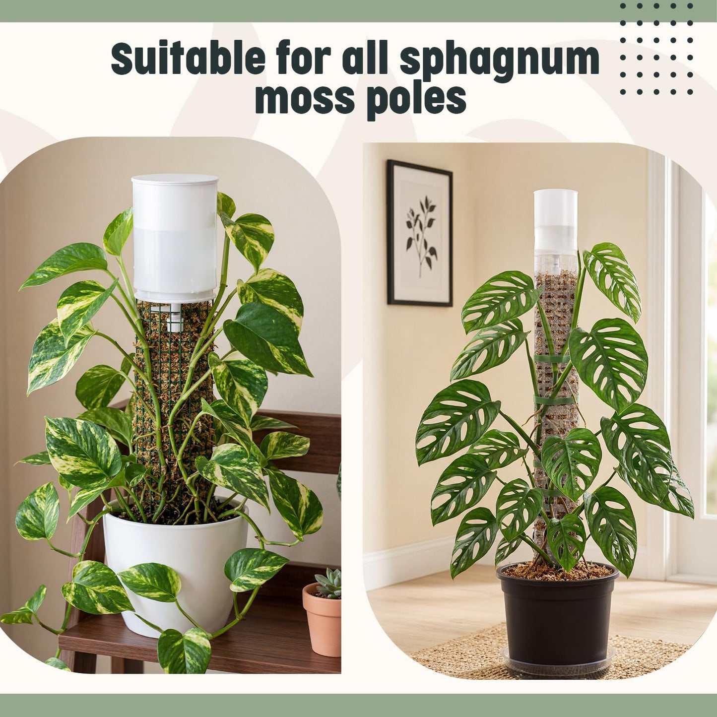 SiliFine 6 Pcs Moss Pole Watering Dripper Adjustable Self Watering Planter Insert with Flow Control Long Lasting Moisture Consistent Dripper Spike with Transparent Reservoir for Monstera Epipremnum