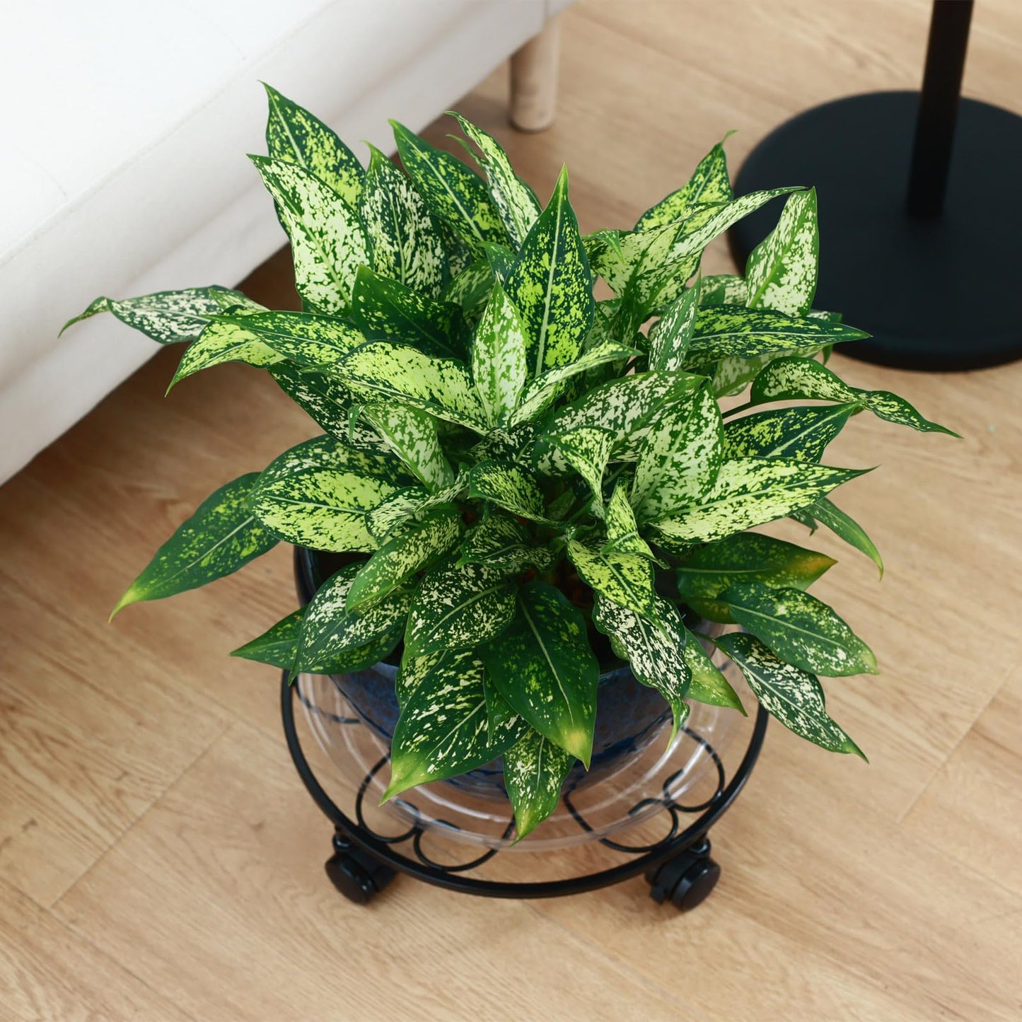 DEELF OUTLET 3 Packs 12 inches Large Metal Plant Caddy with Wheels Round Planter Dolly Pot Mover Rollers Wrought Iron Rolling Plant Stands Indoor Outdoor Wheeled Plant Holder Coaster Trolley, Black