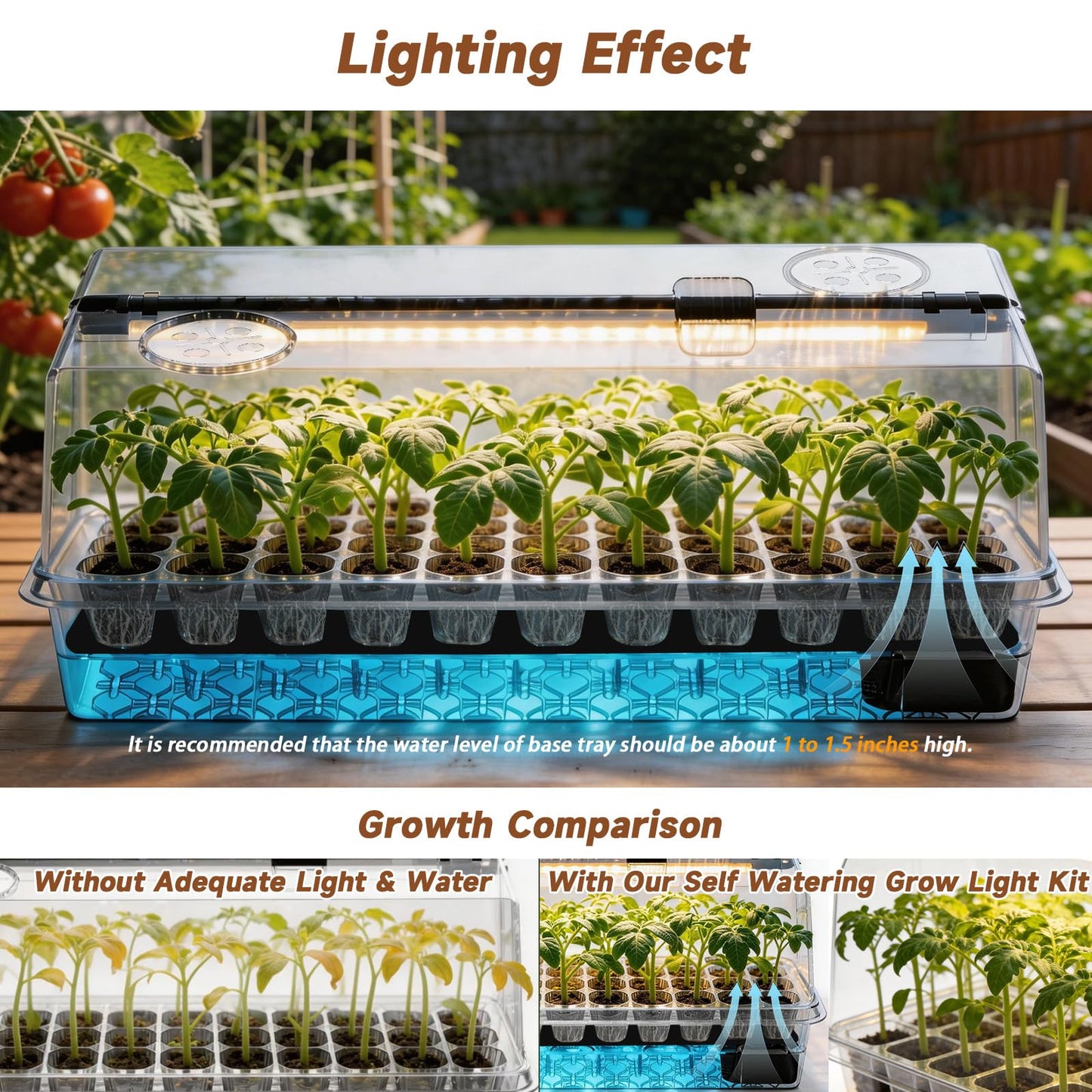 Eyriolya Seed Starter Tray Self Watering, Seed Starter Kit with Grow Light, Full Spectrum Grow Light for Seedling with Timer, Indoor Plant Grow Tray for Beginners & Seasoned Gardeners (144 Cells)