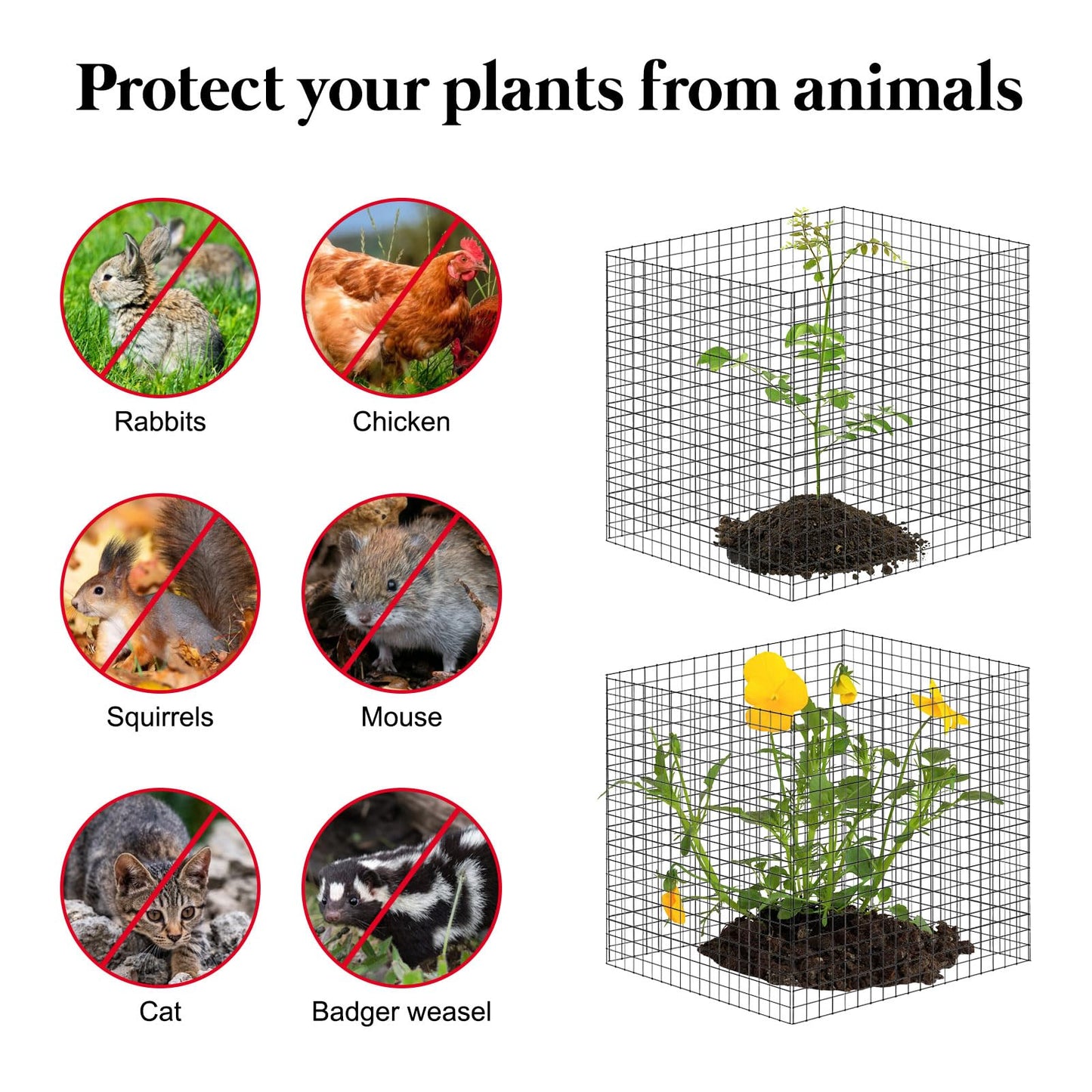 10 Pack Plant Protector from Animals, 12'' x 12'' Square Metal Plant Cages Wire Plant Protectors 40pcs Metal Mesh to Keep Animals Out, Garden Protection Bunny Barricades for Garden Flowers Vegetables