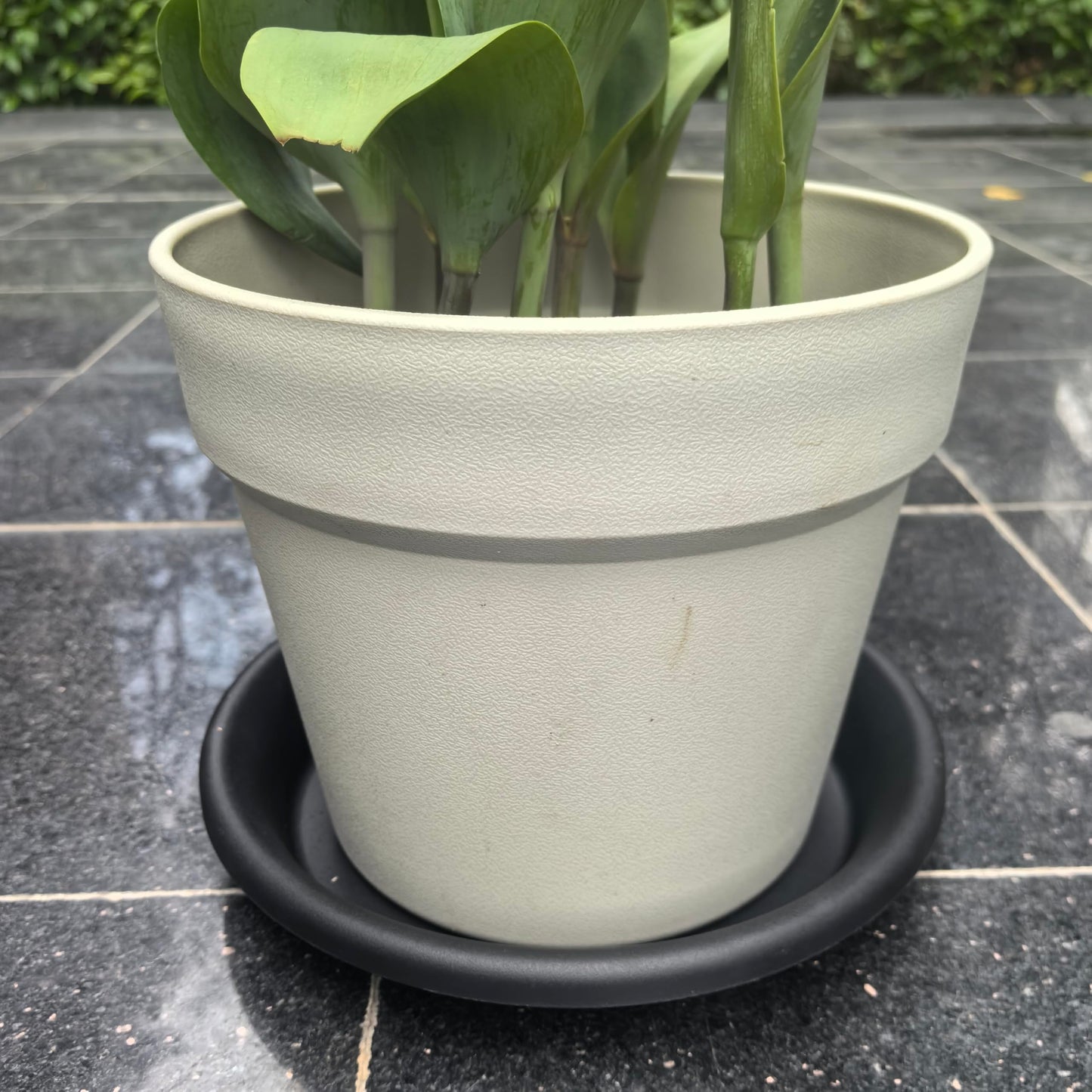 Plant Saucers, Heavy Duty Deep Plant Trays for Pots, Plastic,for Bird Bath Bowls, Drip Trays for Planter, Drip Trays for Potted Plants, Flower Pot Saucers Plant Trays for Pots, 20 inch of 1 pack