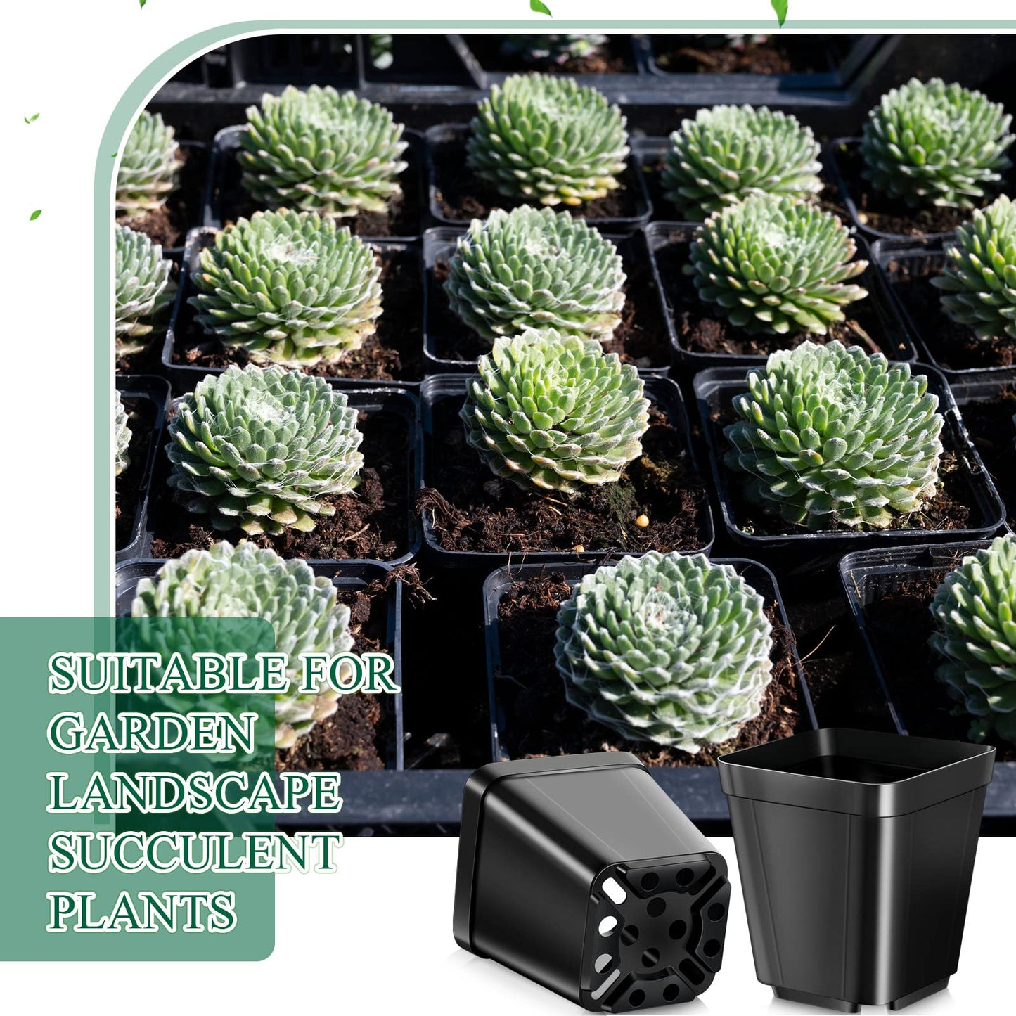 Yinder 500 Pcs 2.7 Inch Black Square Plastic Nursery Pots, Modern Plant Starter Pots, Drainage Hole, Ideal for Indoor Outdoor Flowers, Succulents, Herbs
