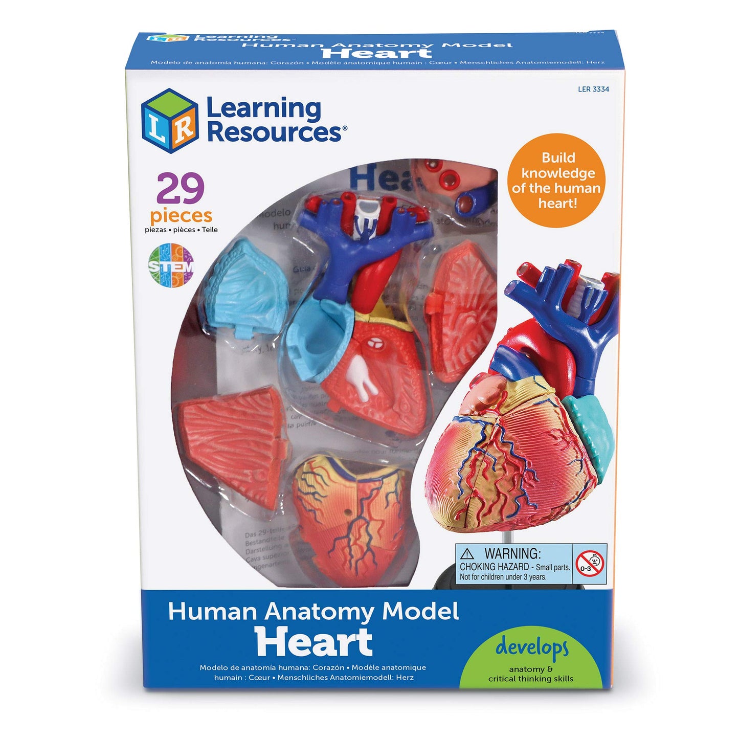 Learning Resources Human Heart Model, Anatomy and Science Classroom Must Haves, Body Model, STEM Study Tools, Back to School Kits, Homeschool Gifts for Students