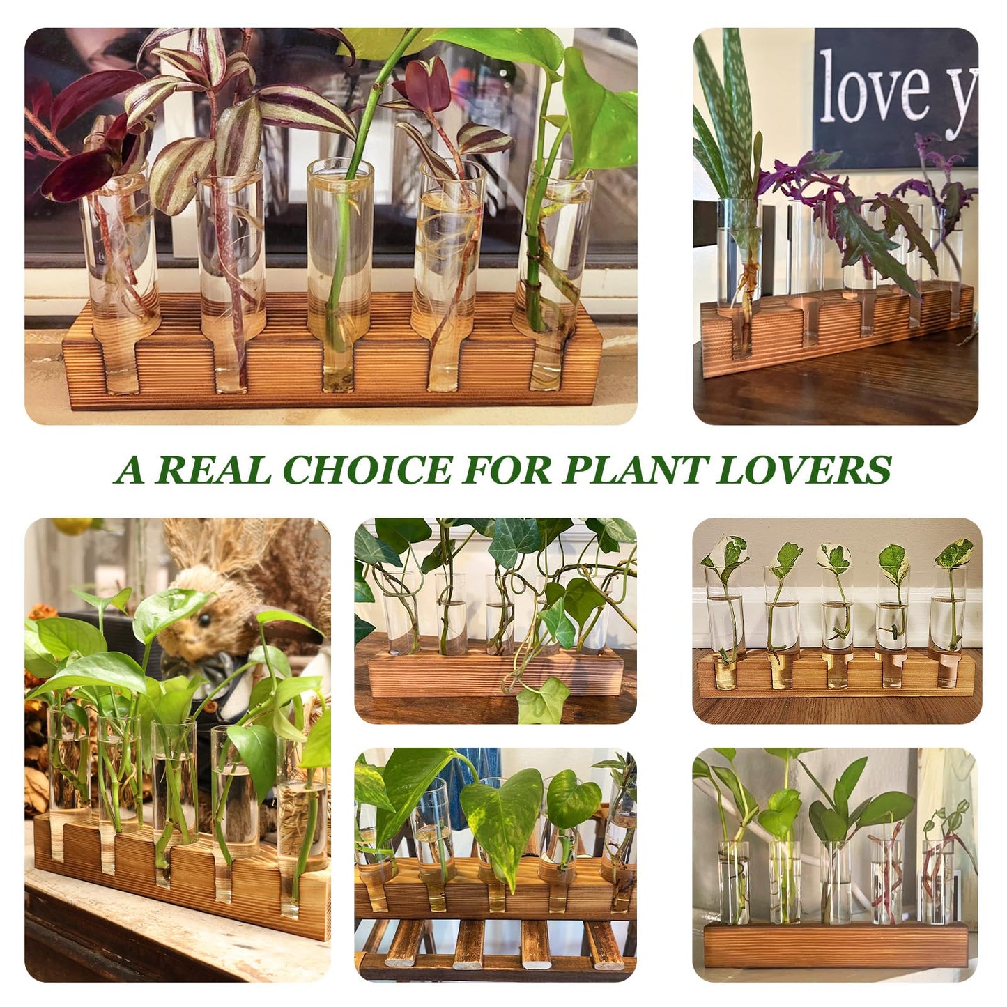 Renmxj Plant Propagation Station, Plant Terrarium with Wooden Stand, Plants Pots for Hydroponics, Small Birthday Gardening Gifts for Women Mom Plants Lovers Unique - 5 Glass Test Tubes Vases