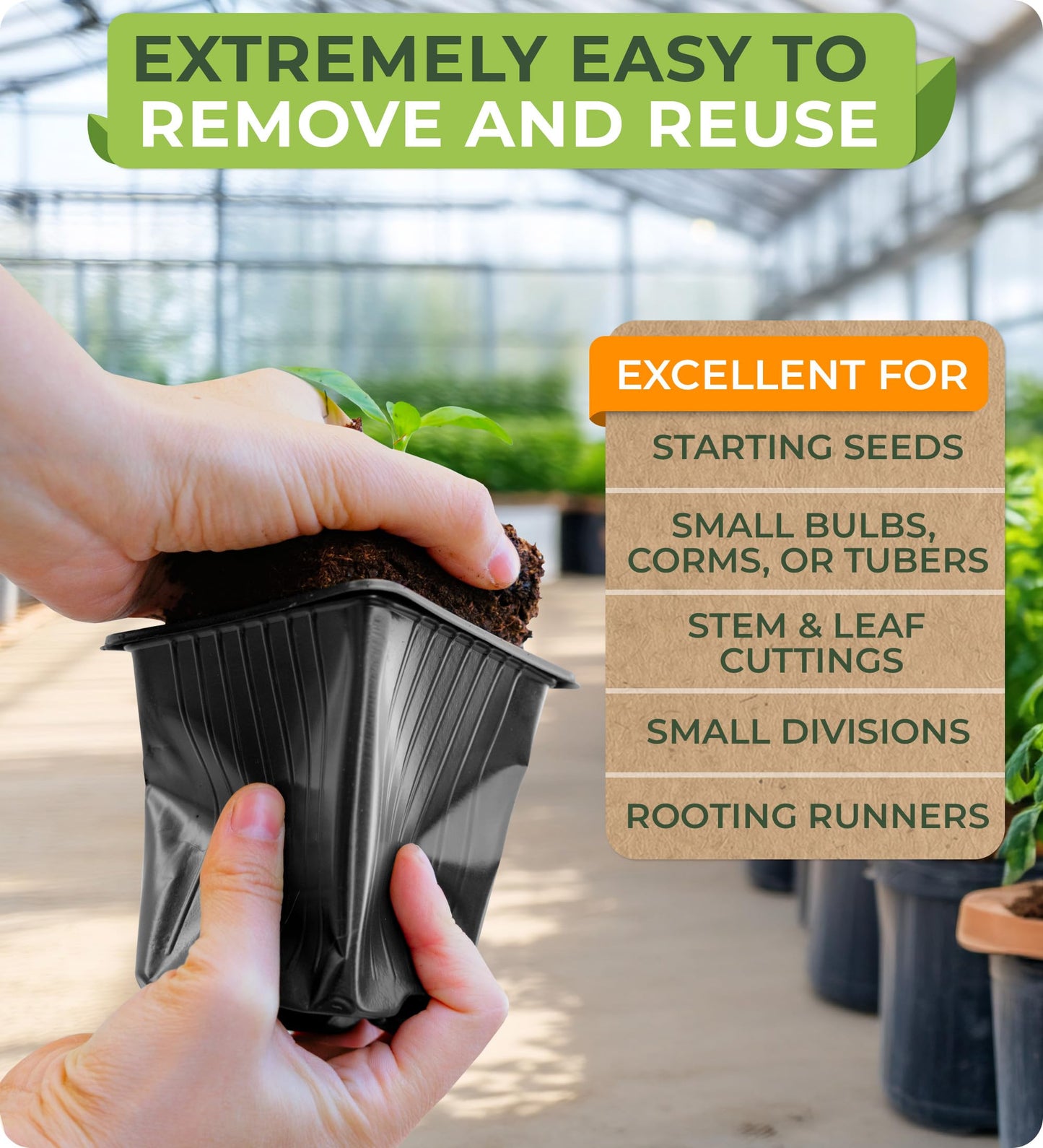 CARPATHEN 60Pack Square Nursery Pots - 3.5 Inch Seedling Plant Pot with Drainage Holes - 1020 Tray Optimized - Reusable Sturdy Seed Starter Pots for Flowers, Vegetables, Greens