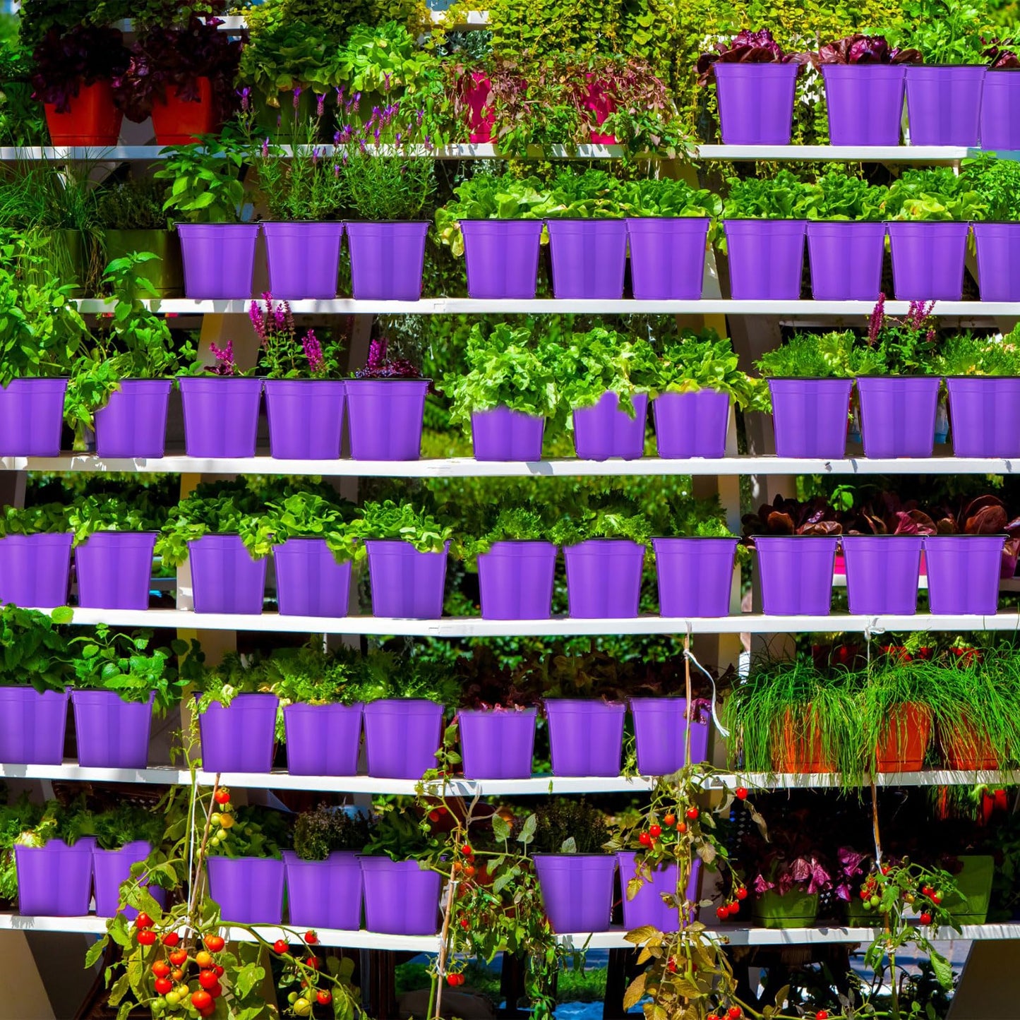 Havawish 150 Pcs 4 Inch Plastic Nursery Pots Seedling Starting Pots with Drainage Holes Thicken Flower Planters Seed Starting Indoor Outdoor for Seedling Cutting Transplanting(Purple)