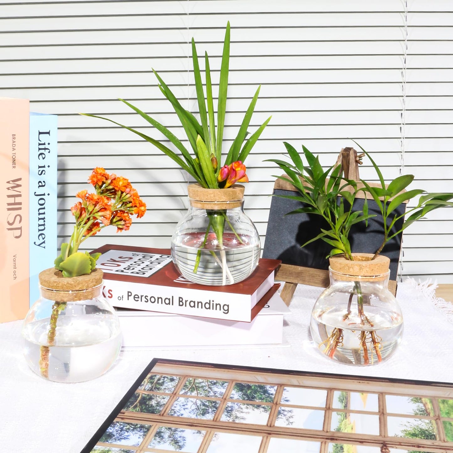 Plant Propagation Station,Hydroponic Terrarium Vase,Desktop Glass Planter Station,for Houses,Garden Decorations,ropagating Hydroponic Plants,Centerpiece Office,Home Garden Decor (4)
