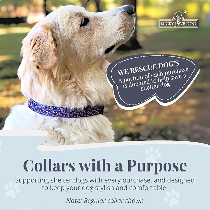 Lucky Love Dog Martingale Dog Collar - Adjustable, No-Slip, Durable, & Soft Webbing Collar for Male and Female Dogs Ideal for Training & Walking - Primrose, Large