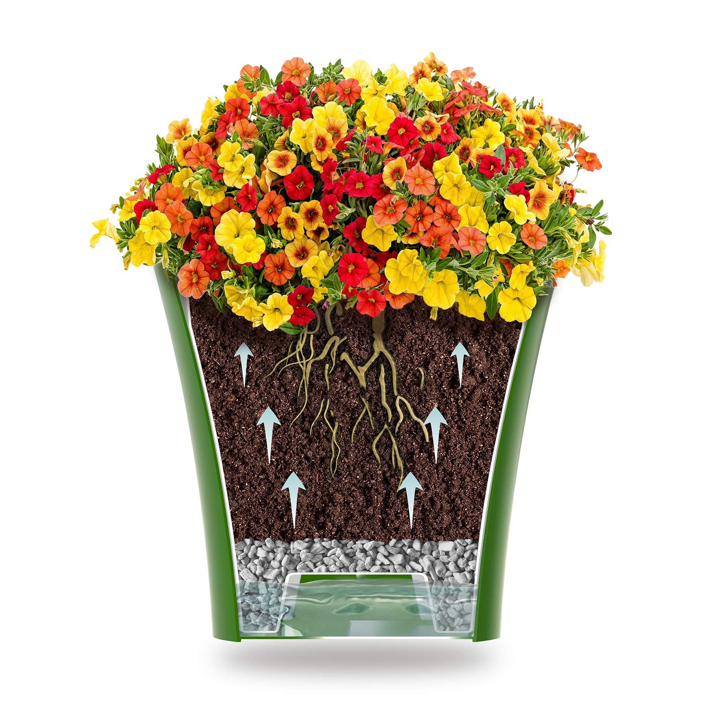 DECOPOTS Pot for Plants | 7.7 Inch | Self Watering Red Plant Planter | Indoor Flower Pot | Plastic Flower Pots with Drainage for All House Plants, Flowers (Diameter 7.7", White - Purple)