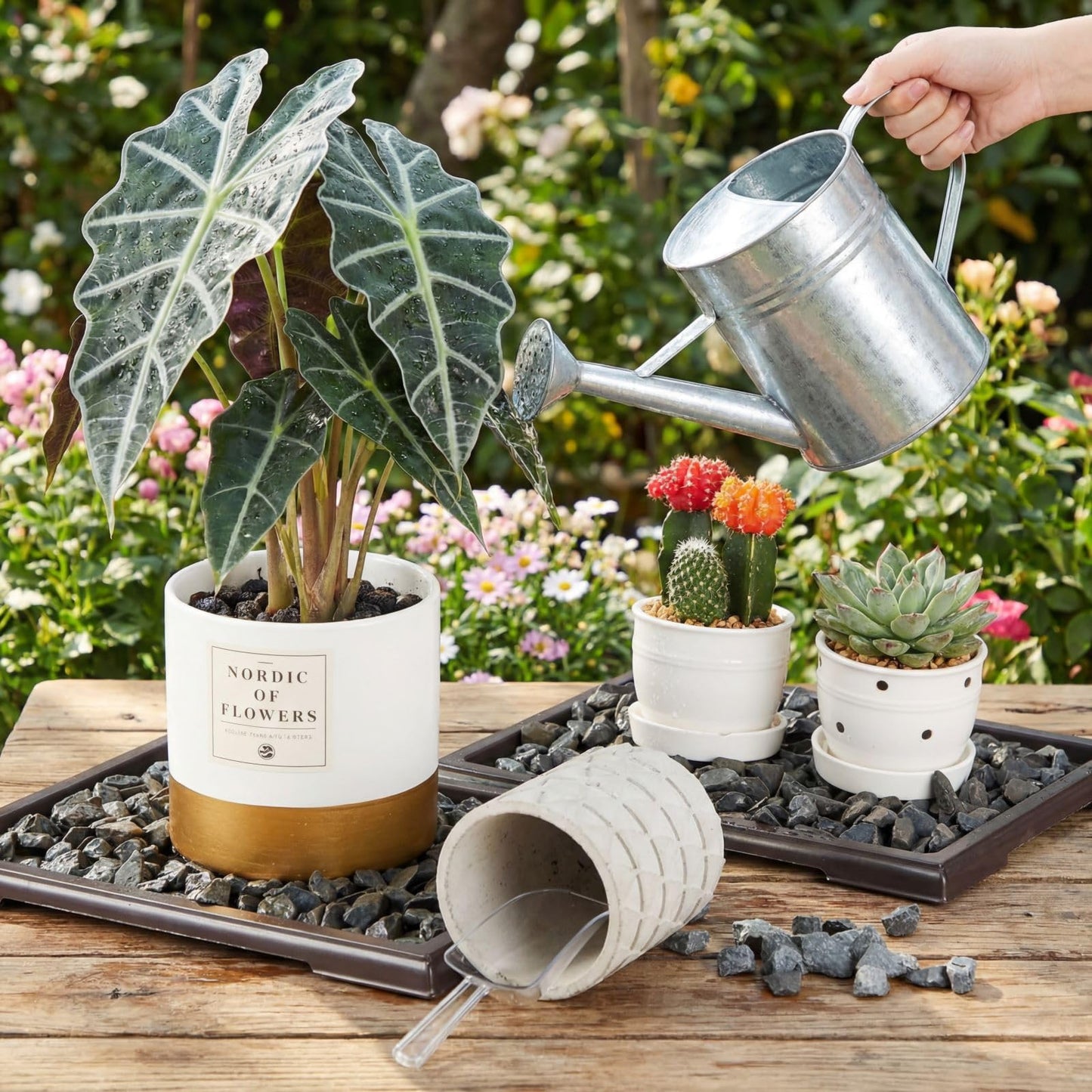 Pinkunn 2 Pcs Bonsai Humidity Tray Rectangular Drip Tray Plastic Plant Water Catcher Plant Saucers for Indoors and Outdoors Cactus,Succulents,Bonsai Tree,Stone Not Included (11 x 8 Inch)