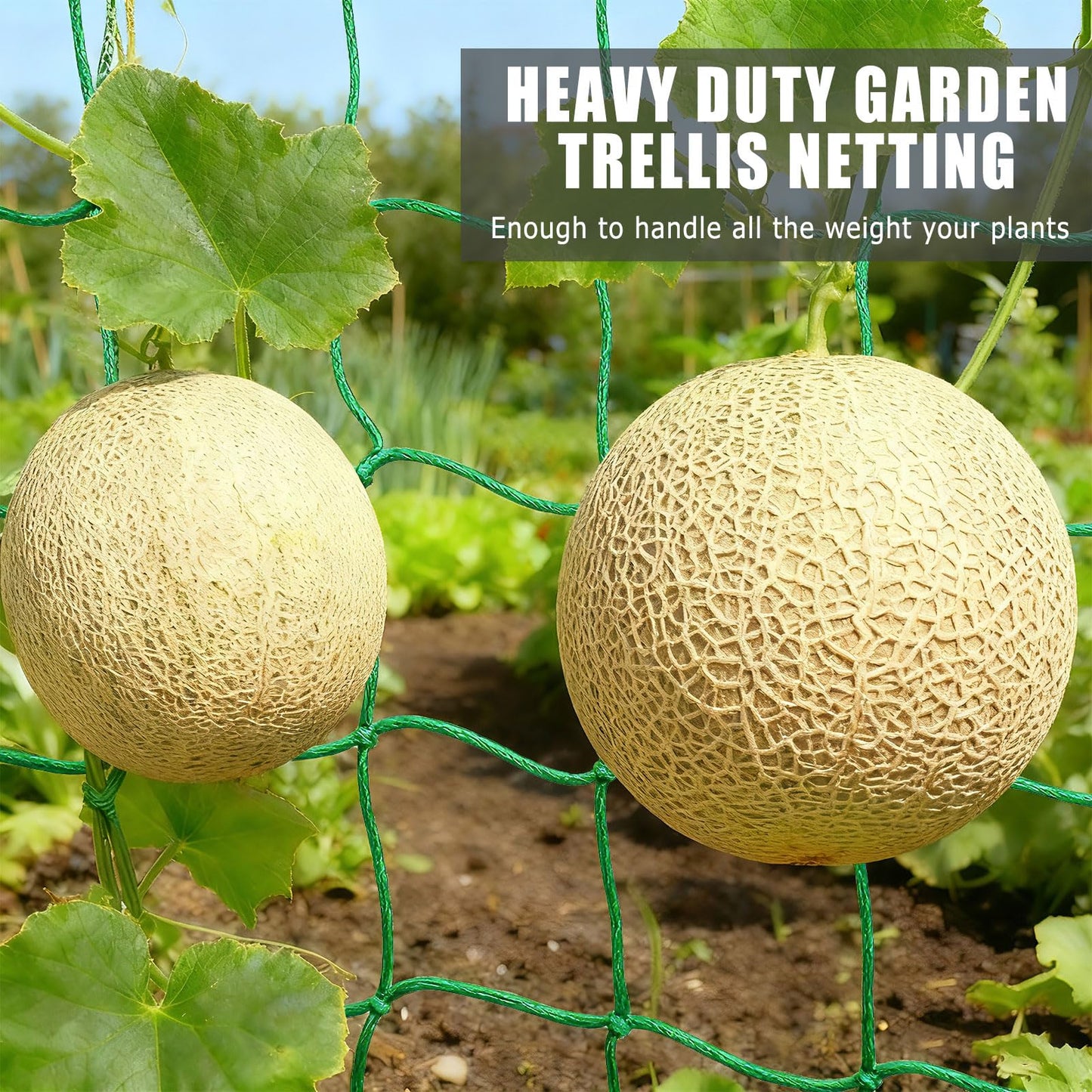 COZYDIG 6.6x16.4FT Trellis Netting for Climbing Plants,Trellis Netting with Plant Clips, Heavy-Duty PE Trellis Net for Cucumber, Tomato, Vegetables, Fruits, Sweet Pea Plants