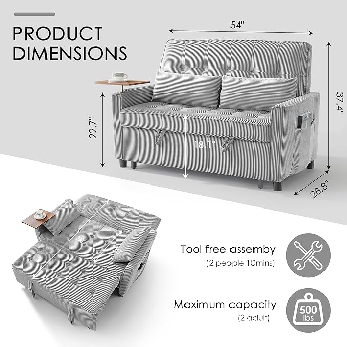 Sleeper Sofa Bed, Guest Room