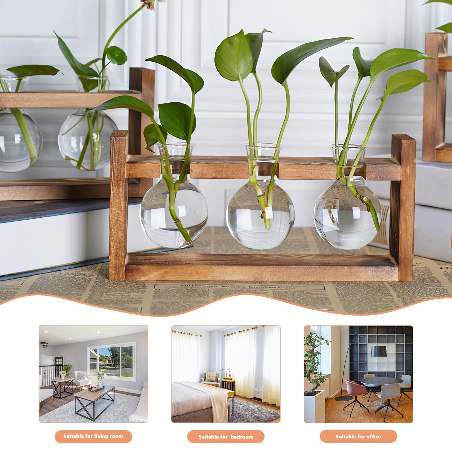 Veemoon Glass Flower Vase with Wooden Stand, High Borosilicate Glass Hydroponic Plant Terrarium for Indoor Home Décor and Tabletop Gardening