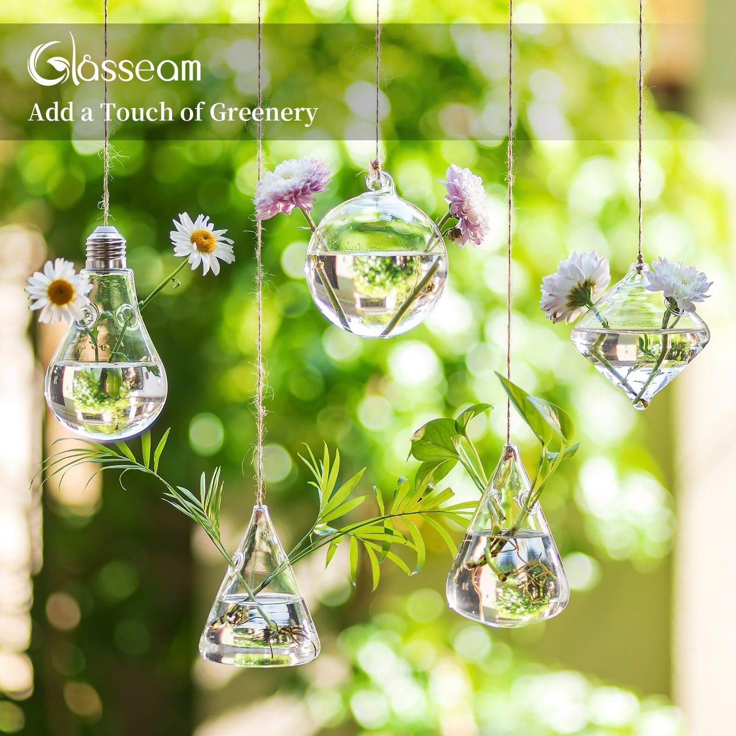Glasseam Hanging Planters Glass Terrarium: 5Pcs Modern Plant Propagation Stations Hydroponic Wall Vases for Air Plants Flowers Indoor Window Home Decor