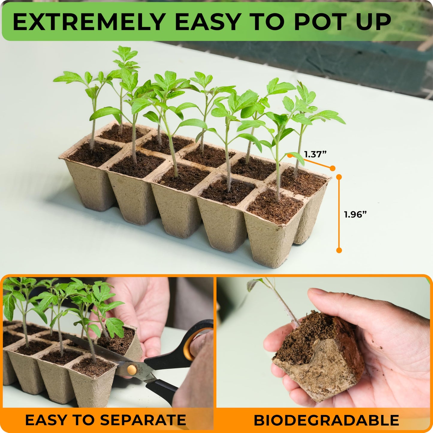 CARPATHEN Seed Starter Tray -Seed Starting Tray with Humidity Dome and 80 Peat Pots + Indoor Greenhouse with Grow Lights - with 2 Dimmable 15W Full Spectrum LED Light Strips and Spectrum Control