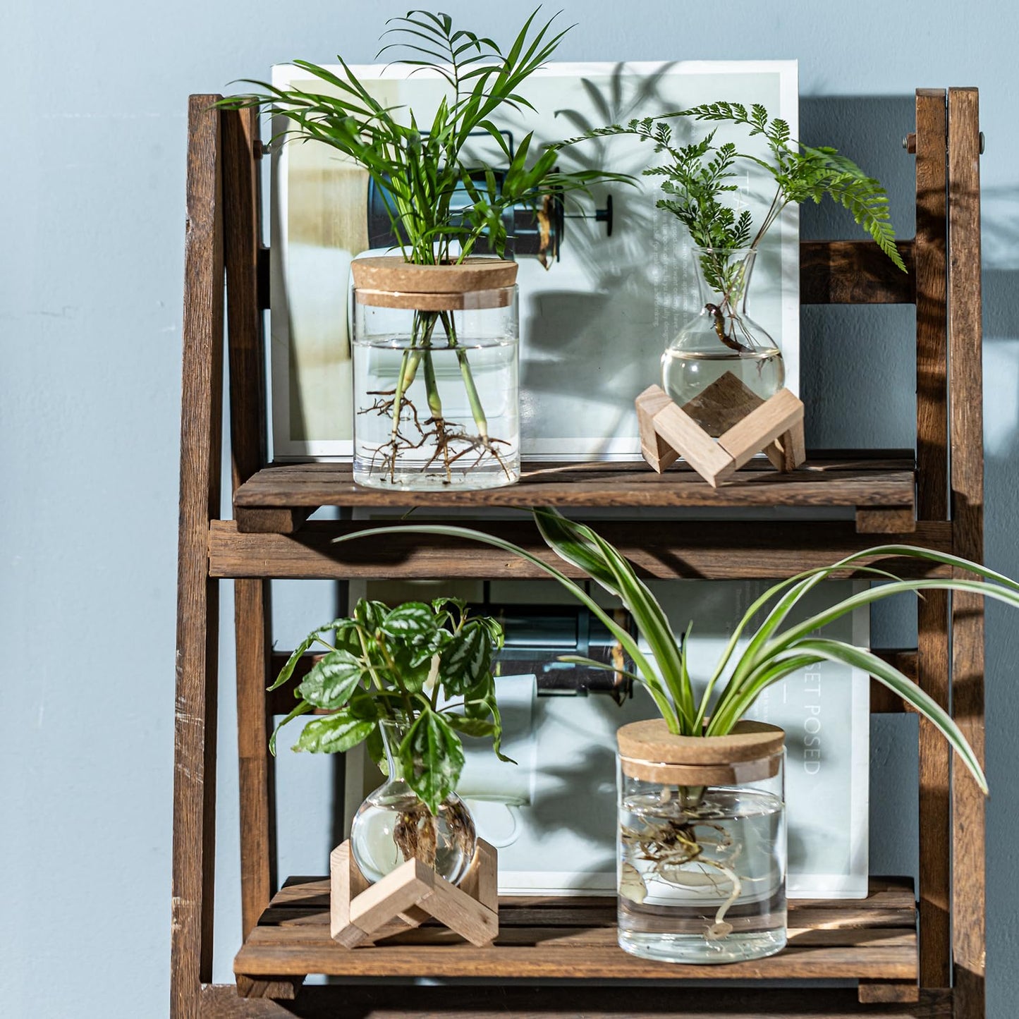 JGKYLDZ Plant Propagation Station, 2 Style Glass Planter Terrarium Set for Hydroponic Plants | Home Office Tabletop Decor, Gardening Gifts for Women, Mom, Plant Lovers (4)
