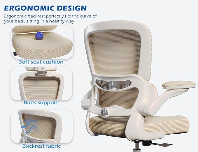 TRALT Ergonomic Office Chair