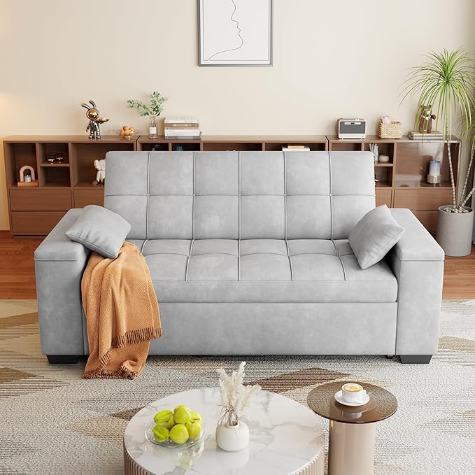 Gizoon Convertible Sofa Bed, Loveseat Sleeper Sofa