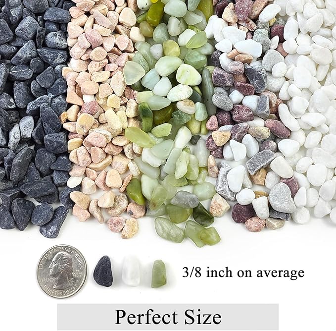 FANTIAN 2 lbs Pea Gravel - 3/8 Inch Small Pebbles Rocks for Indoor Plants, Succulents, Cactus, Fish Tank, Terrarium, Landscaping and Decorative Stones(32 oz, 6-9 mm)