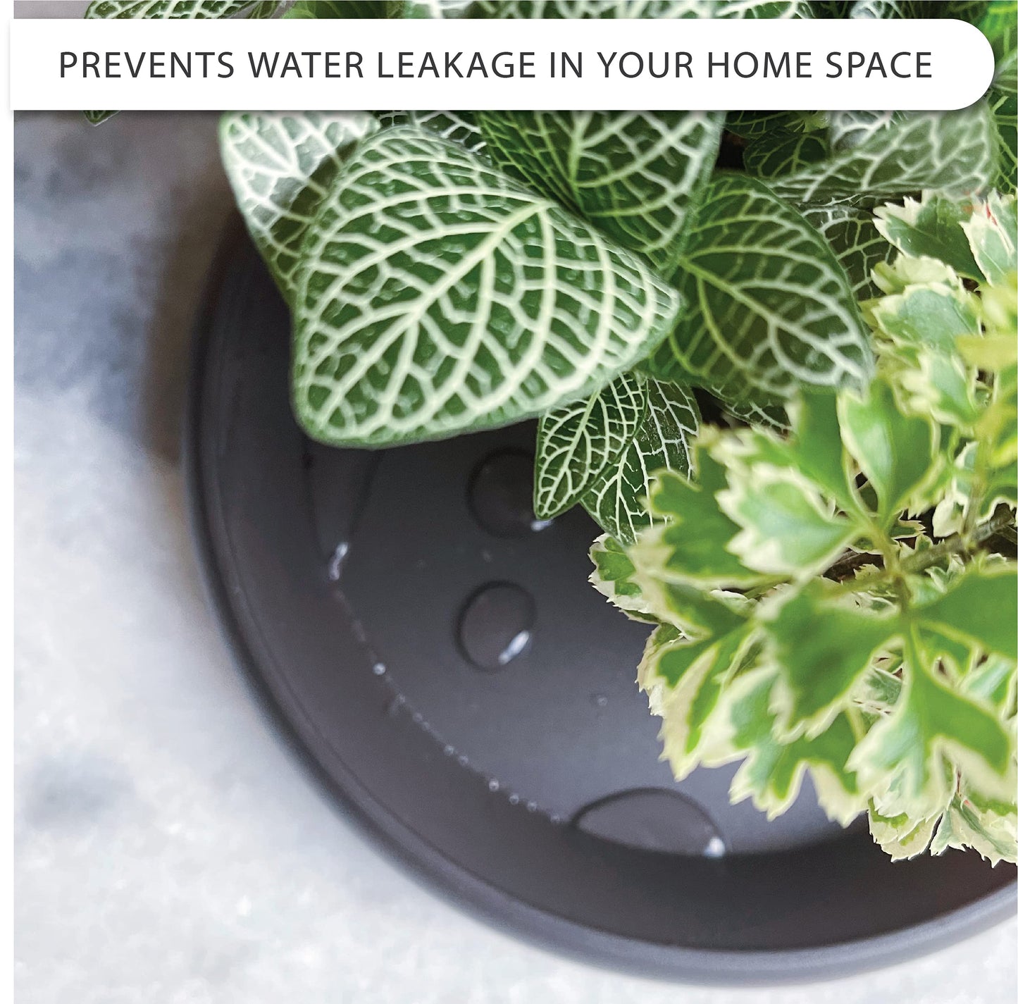 LOOPSEED Plant Saucer 6 Pack Drip Trays Planter Pot Base Heavy Duty Plastic Drainage Tray for Indoor Houseplants Outdoor Garden 5 inch 8 inch 11 inch 3 Sizes 2 Each Round (Brownish Black)