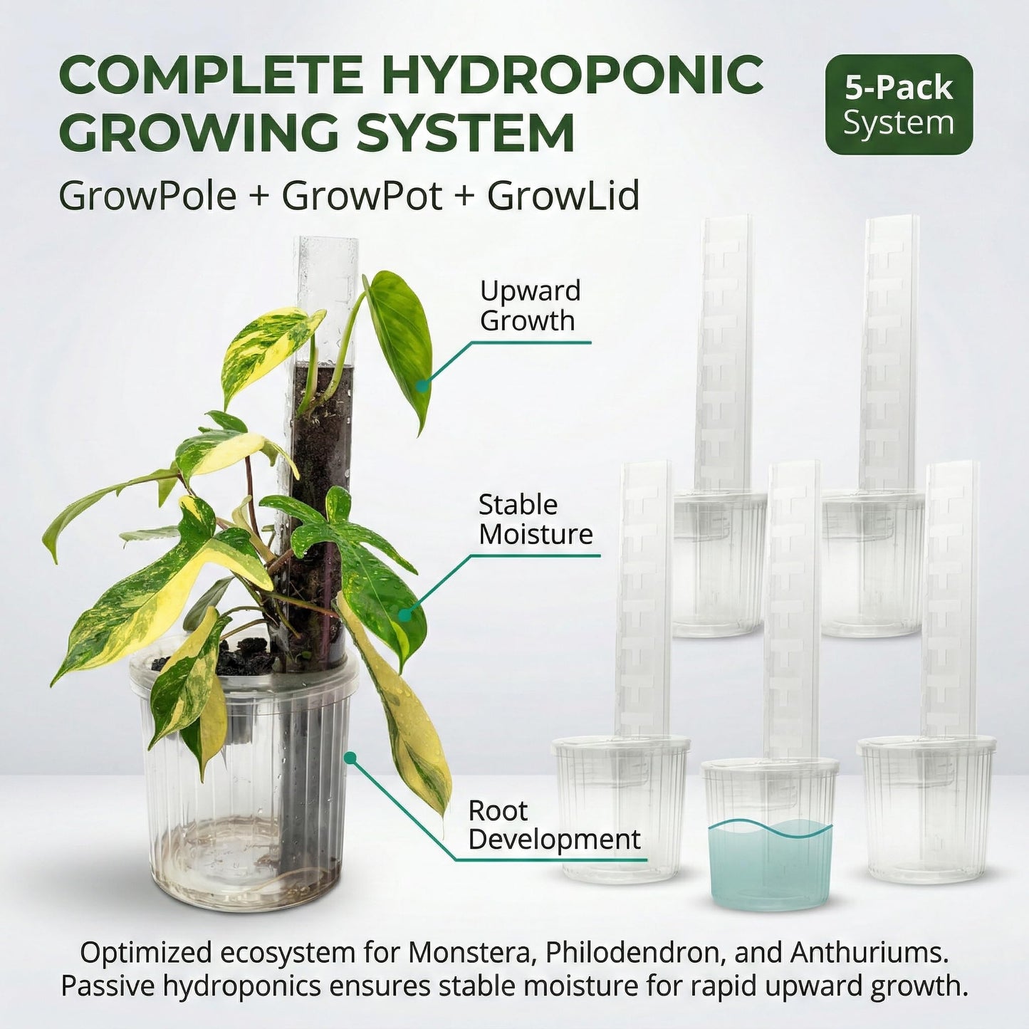 THICCLY Medium GrowLid 5 Pcs (Royal Blue) - Self Watering Clear D-Shaped Plastic Moss Pole Hydroponics Growing System Kratky Hydroponic Kit Moss Pole Monstera Plant Support Philodendron and Anthuriums