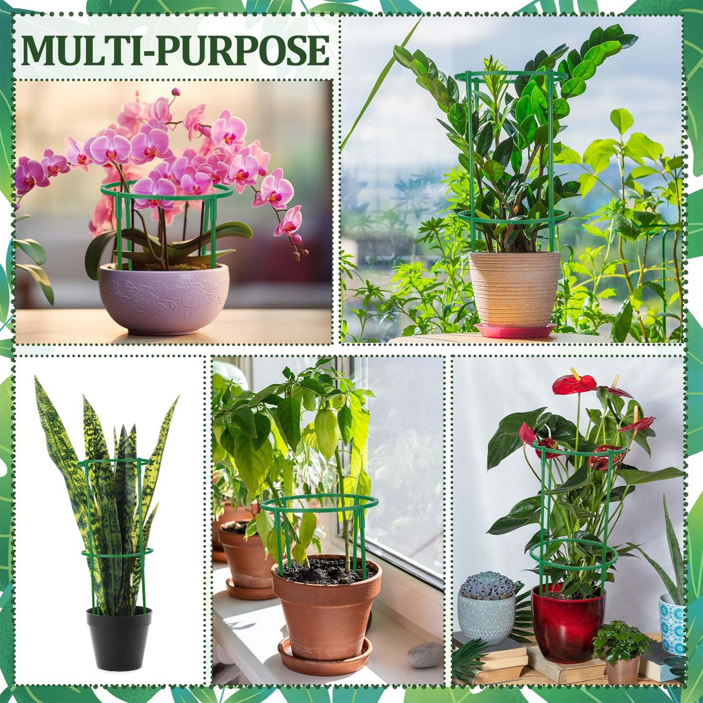 Hoemwarm 36 Pcs Plant Support Stakes, Half Round Plant Support for Indoor Plants Stackable Plant Holder Stick Plastic 9.8 Inch Plant Stakes for Tomato, Monstera, Peony, Hydrangea Climbing Plants