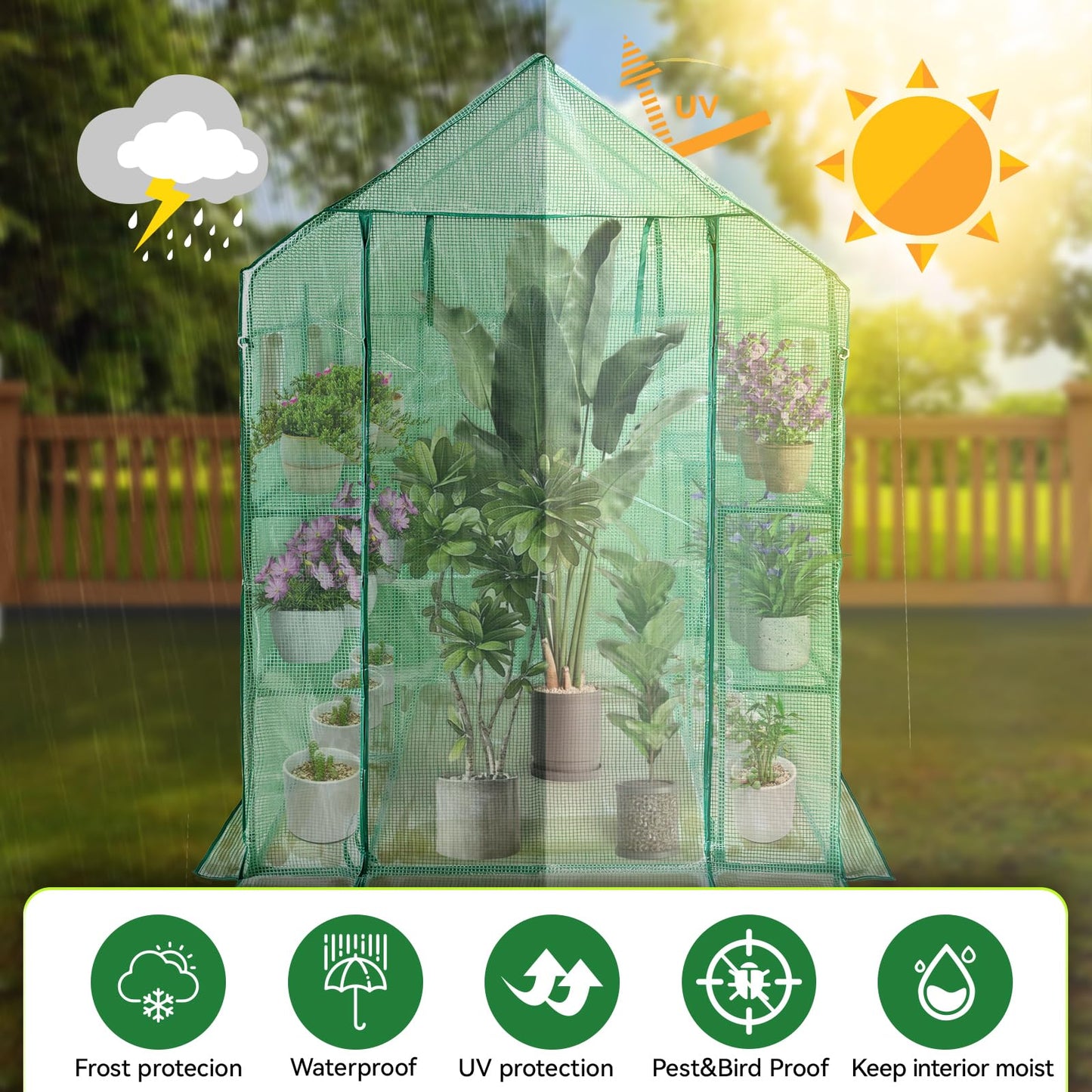 Walk in Greenhouse with Shelves,Plastic Growhouse Frame for Garden,12 Tiers Green House with Reinforced PE Cover and 4 Windows,56" L x 56" W x 77" H,for Indoor Outdoor Seeding and Plant Growing