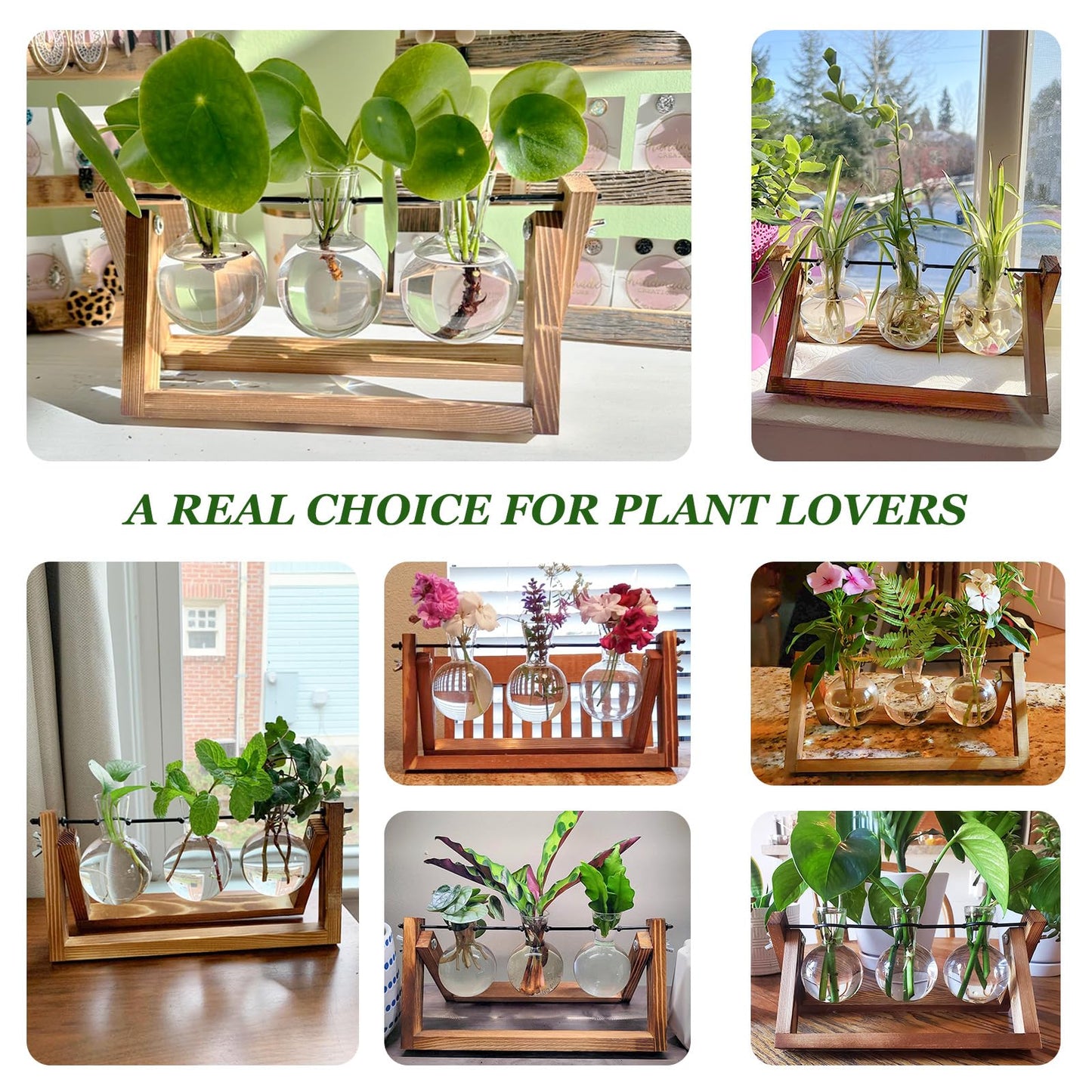Renmxj Plant Propagation Stations with Wooden Stand & 3 Glass Bulb Vases - Plant Terrarium for Indoor Plants, Home Office Desk Decor, Gardening Gifts for Women Mom, Birthday Gifts for Plants Lovers