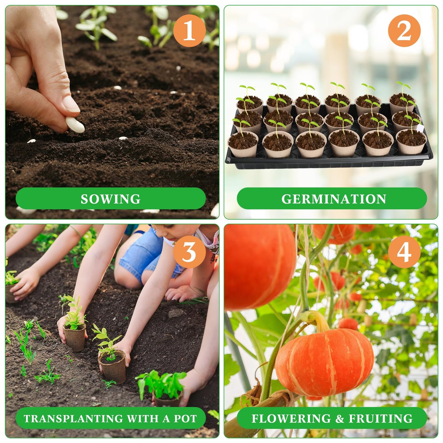 Vesici 220 Pcs Seed Starter Tray Kit Include 180 Peat Pots with Drainage Holes 10 Plastic Growing Trays, Plant Germination Trays for Seedling 30 Plant Labels for Greenhouse Seedling