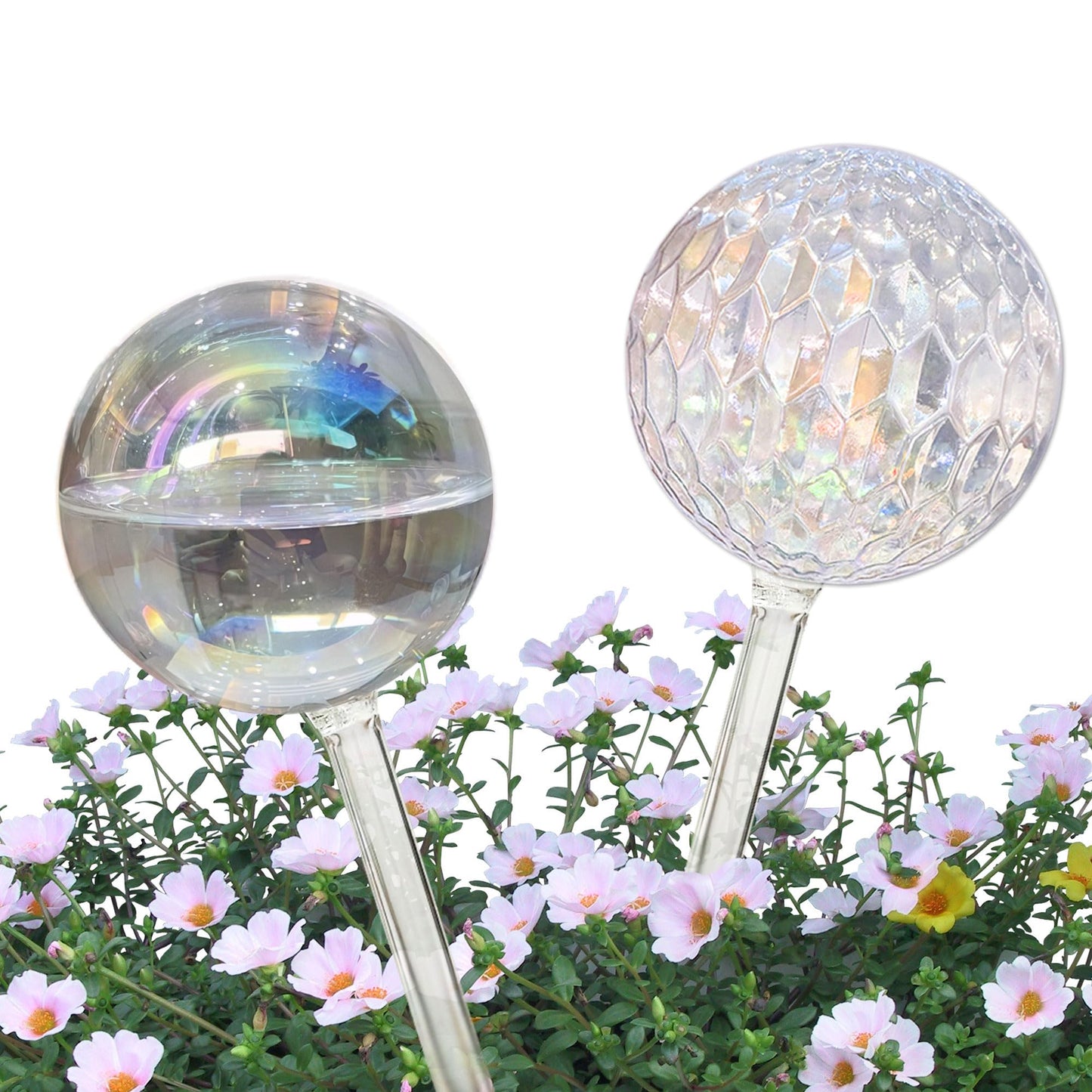 Vividaire Glass Plant Watering Globes, Water Plants While Away Slow Self Watering Planter Insert Bulbs for Outdoor Indoor Plants, Vacation Plant Watering System Devices (Iridescent Medium 2-Pack)