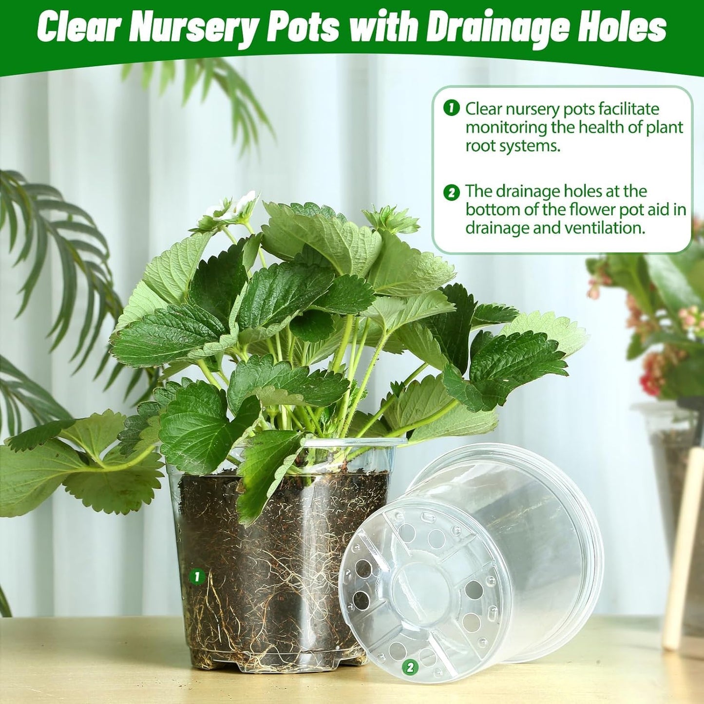 TAQIXI 6/8/10 Inch Large Clear Nursery Pots with Drainage, 24 Pack Plastic Plant Pots for Seedlings Flowers Succulents Vegetable, Indoor Outdoor Gardening (6/8/10 Inch-24Pack)
