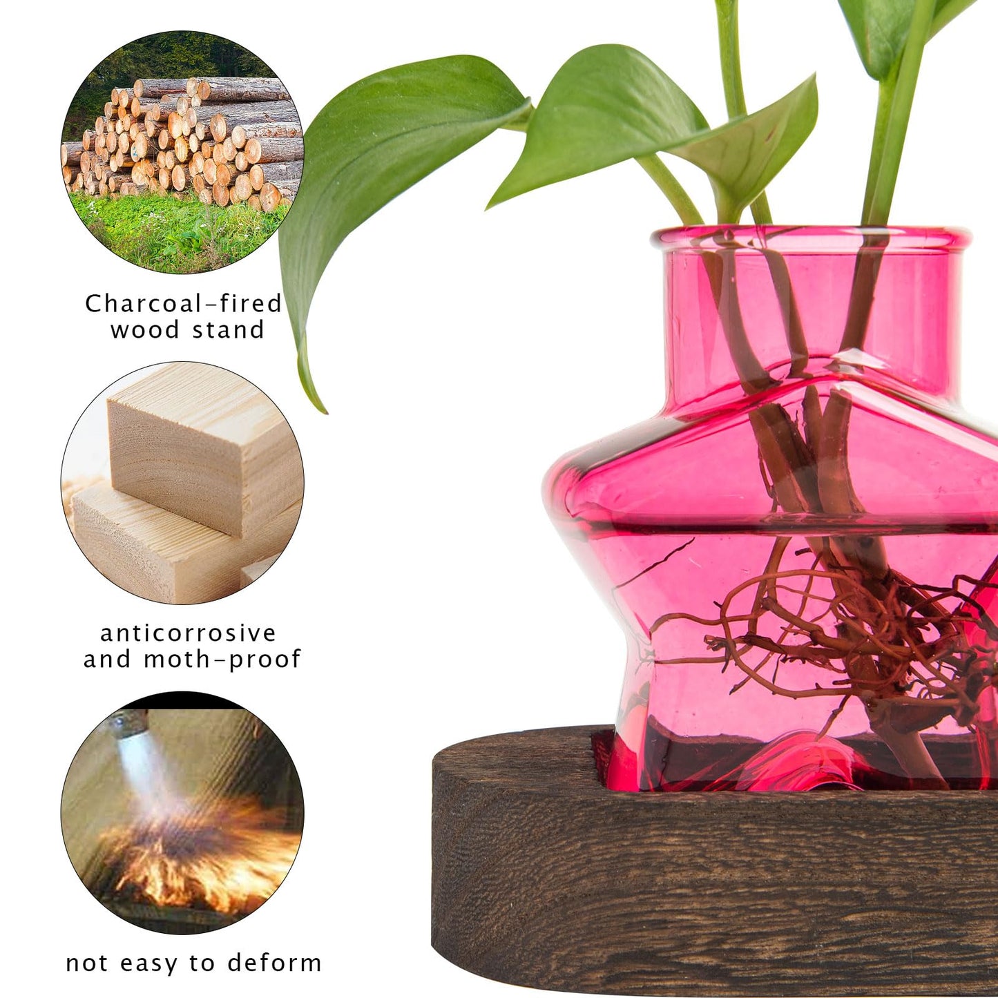 XXXFLOWER Plant Propagation Station with Wooden Stand，Air Plant Terrarium Starter Kits Star Vases for Flowers Plant Cutting Rooting Pots Indoor Hydroponic Glass Planter for Plant Lovers,3 Jars(Pink)
