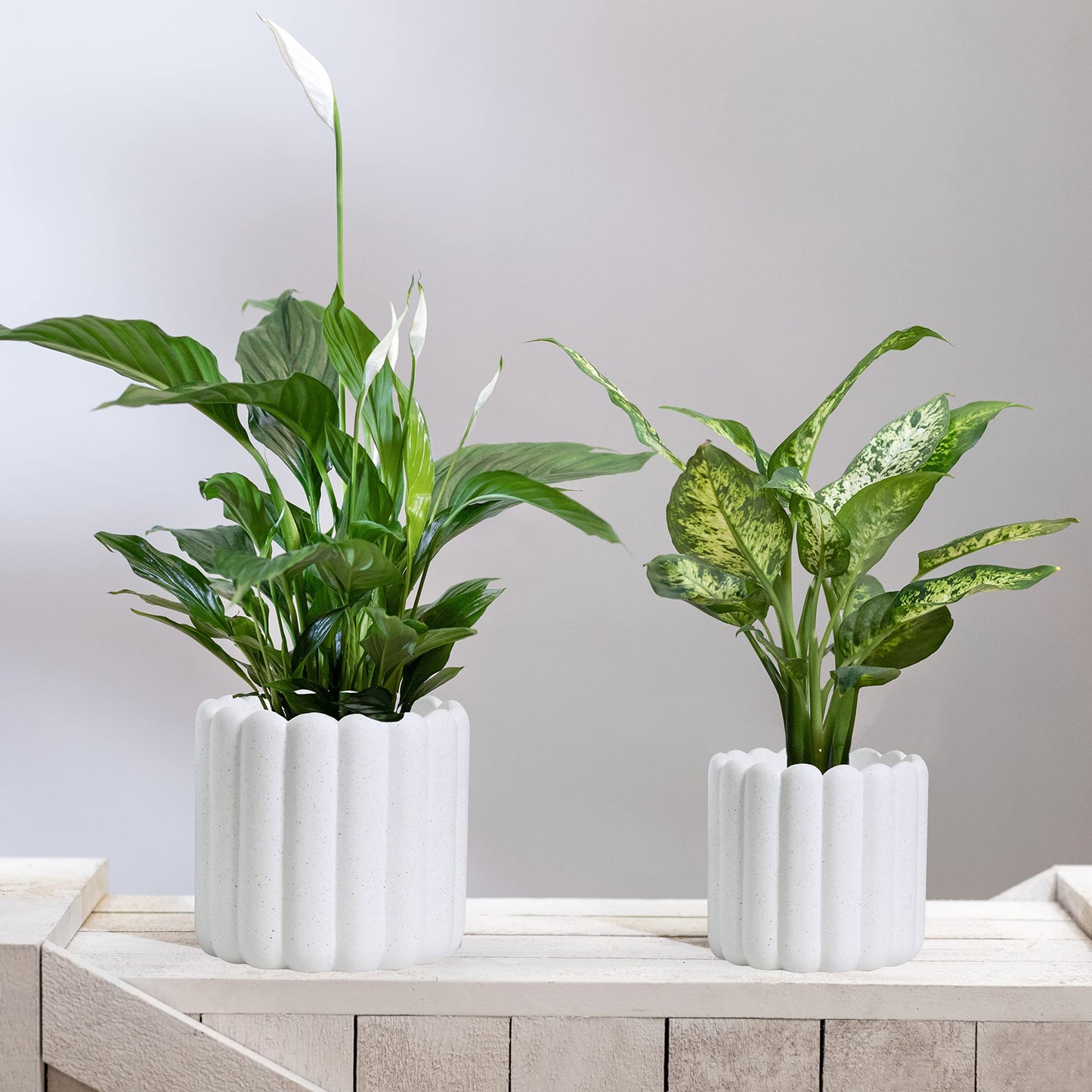 Olly & Rose Vertical Striped Ribbed Plant Pots - Charcoal Speckled White Planters - 6.5" and 5.3" Diameter Flower Pots for Indoors and Outdoors (White Ribbed)