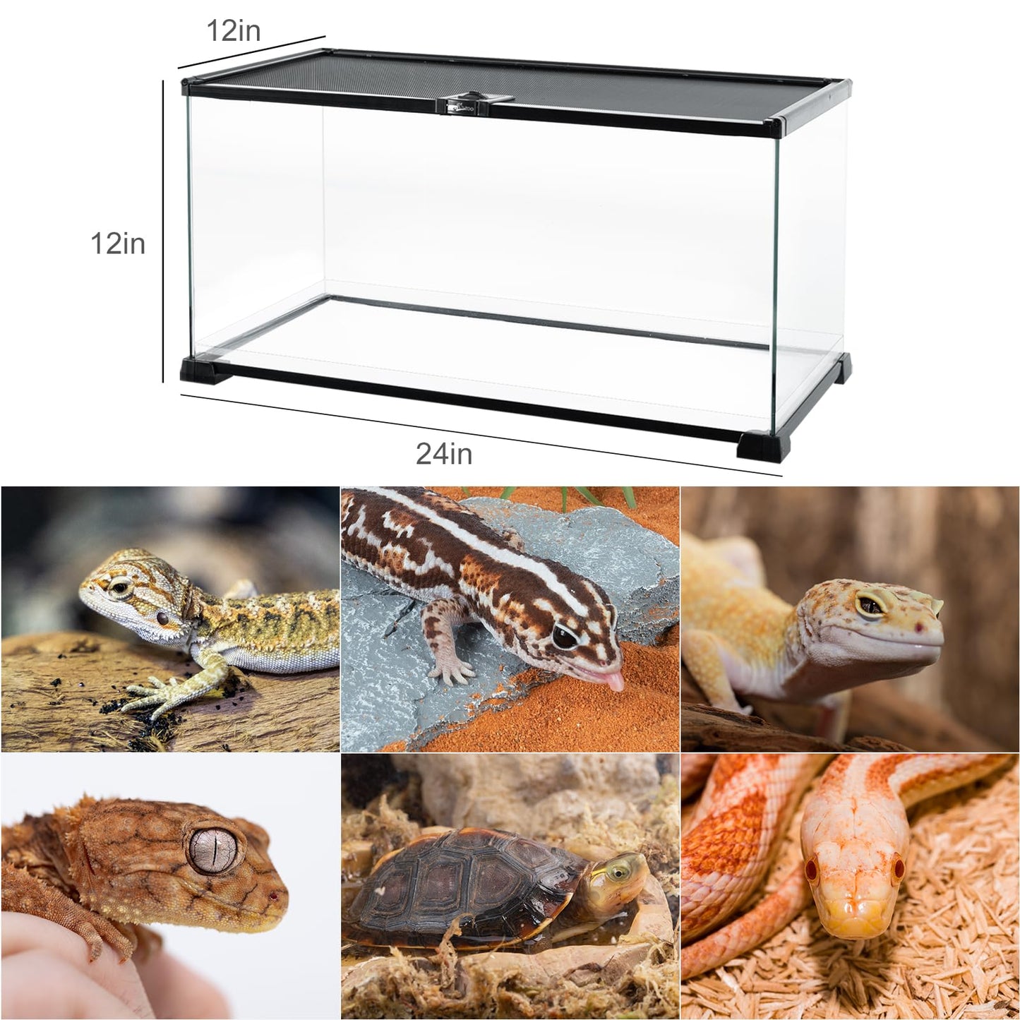 REPTI ZOO Full Glass 15 Gallon Reptile Tank, Medium Reptile Terrarium 24" X 12" X 12" for Gecko Hermit Crab Hognose Snake etc, Top Screen Ventilation & Feeding