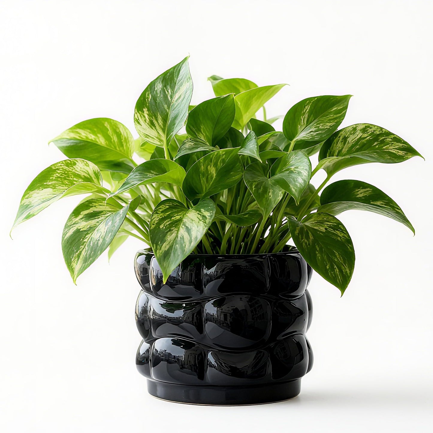 FUYHE 5.8 inch Ceramic Plant Pots with Drainage Hole,Modern Flower Pots for Indoor Plants,Black Ceramic Pots for Succulents, Home & Office Décor (Black)