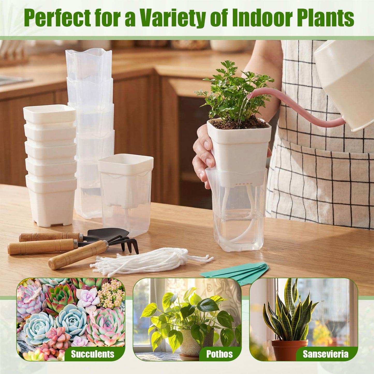 RimCereal 30 Pack 2.5" Small Self Watering Pots for Indoor Plants Clear Mini Self Watering Plant Pot with Water Level, Drainage Holes 30 Plastic Label 3 Planting Tools, Rope for Propagation Succulents