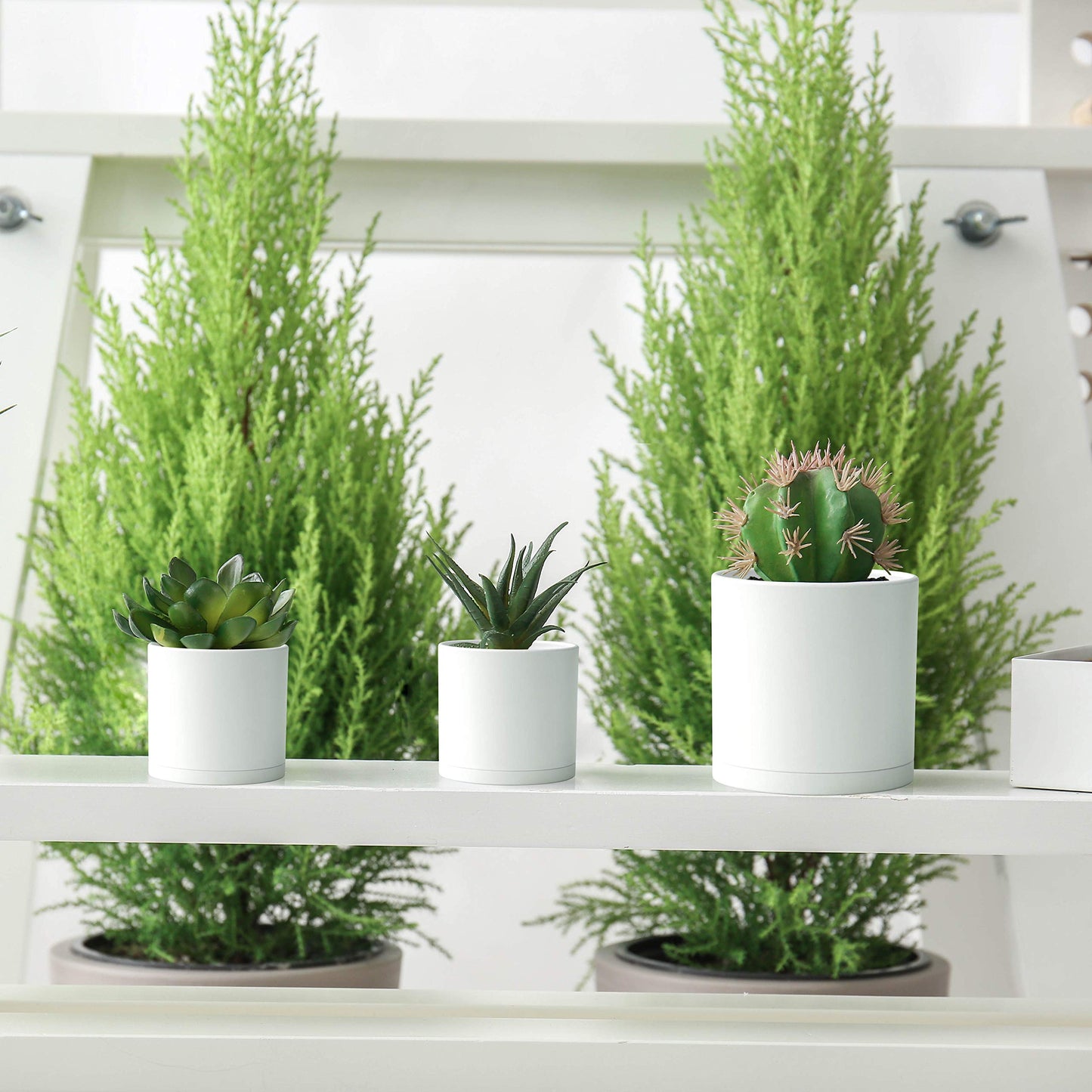 D'vine Dev 4 Inch 5 Inch 6 Inch, Set of 3 Plastic Planter Pots for Plants with Drainage Hole and Seamless Saucers, White Color, Small, 74-V-A-1