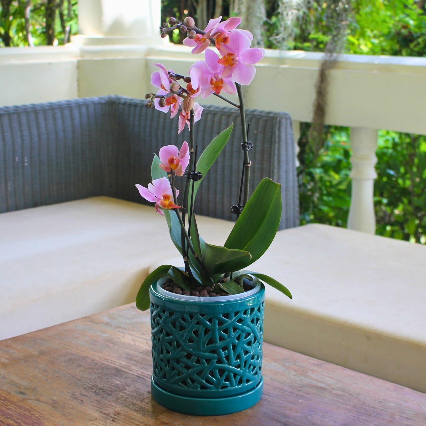DESQUIGGLE Set of 4 Large Ceramic Orchid Pots with Holes