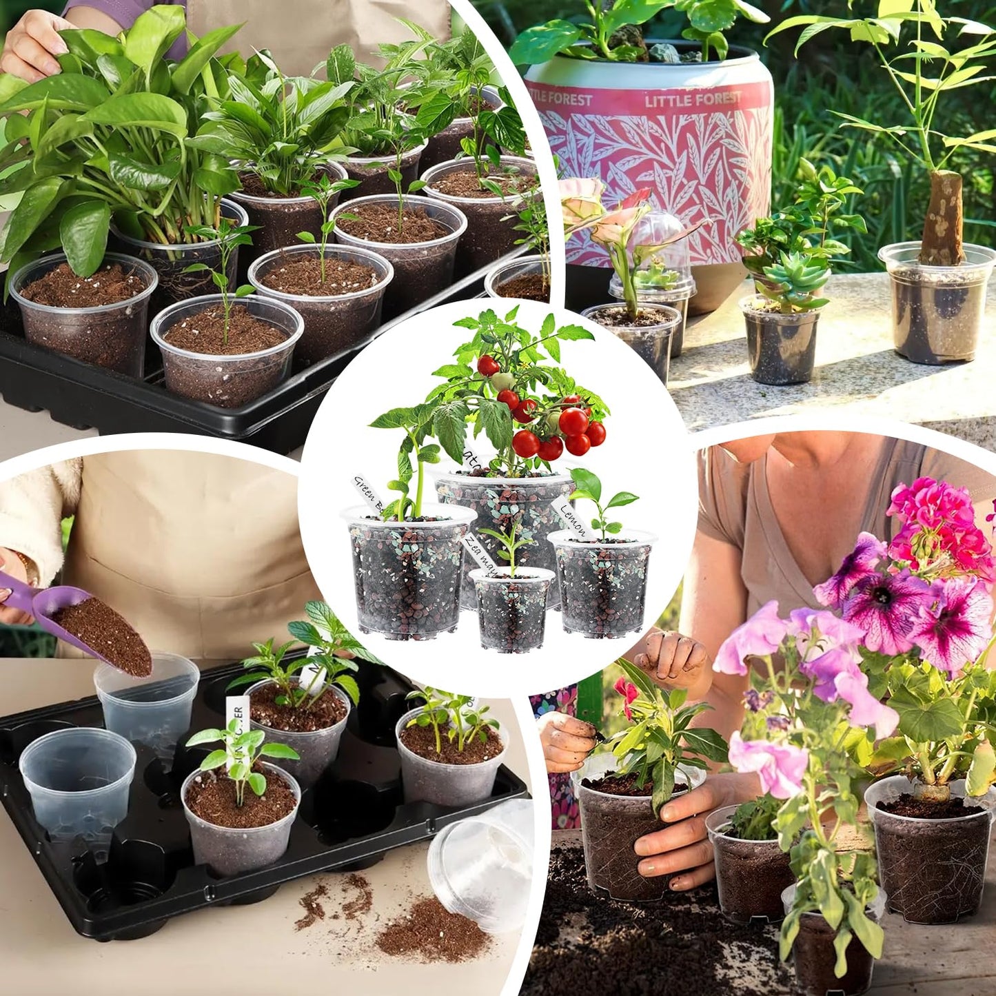 60 Pcs Clear Nursery Pots with Drainage Indoor 4 5 6 Inch Nursery Pot with Drainage Holes Plastic Seedling Pots for Plants, Plant Starter Pot with Holes Clear Plastic Planter for Indoor Plants
