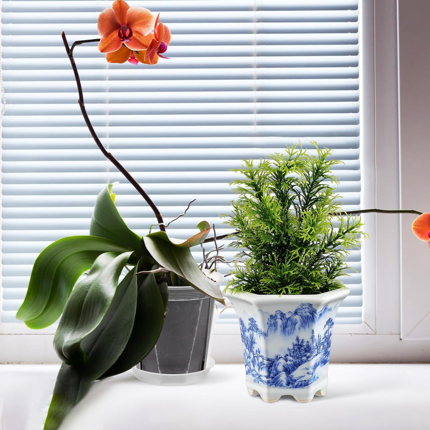 Yardenfun Blue and White Porcelain Planter Pot for Indoor Plants Small Ceramic Succulent Flowerpot Asian Style Oval Home Garden Decor