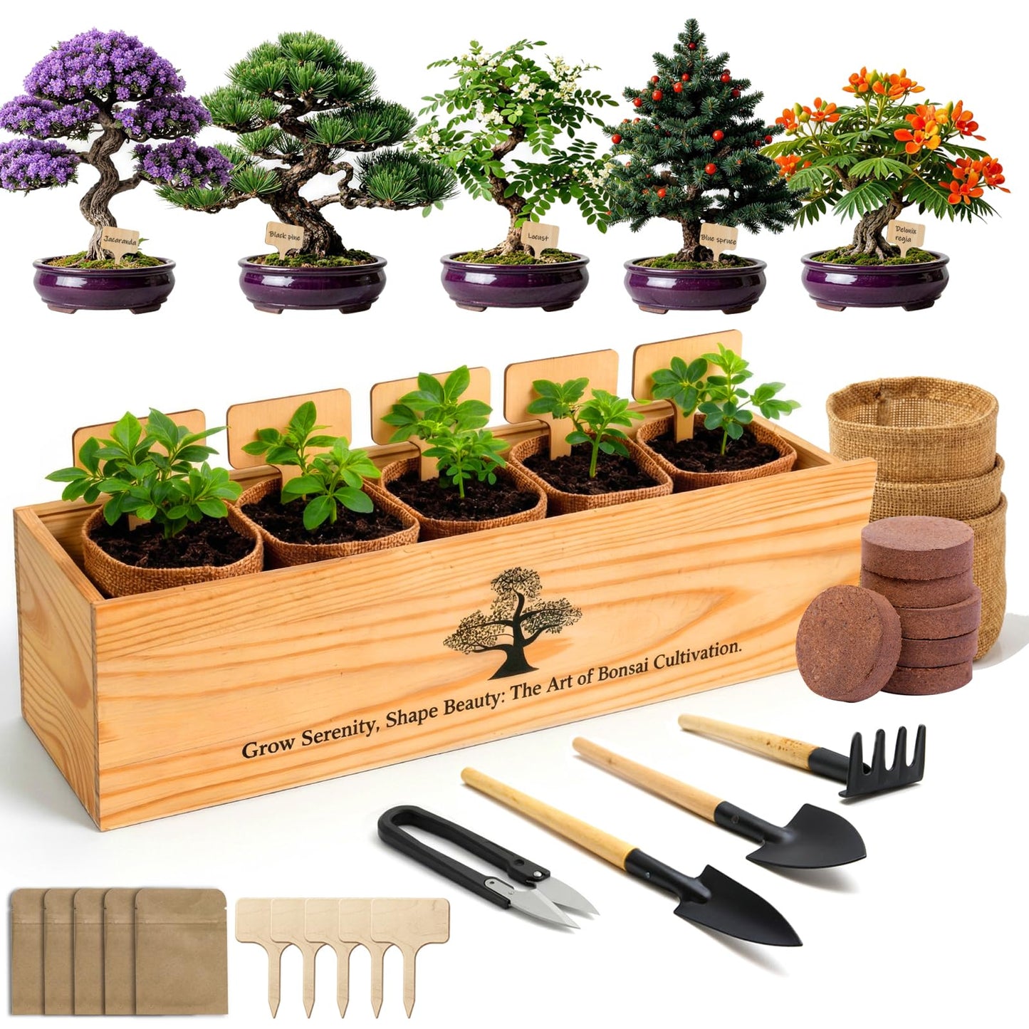 5X Bonsai Starter Kit, Bonzai Seed Kits, Durable Planting Bags, Complete Indoor Starter Kit for Growing Bonsai Plants, Gardening Gifts for Women & Men