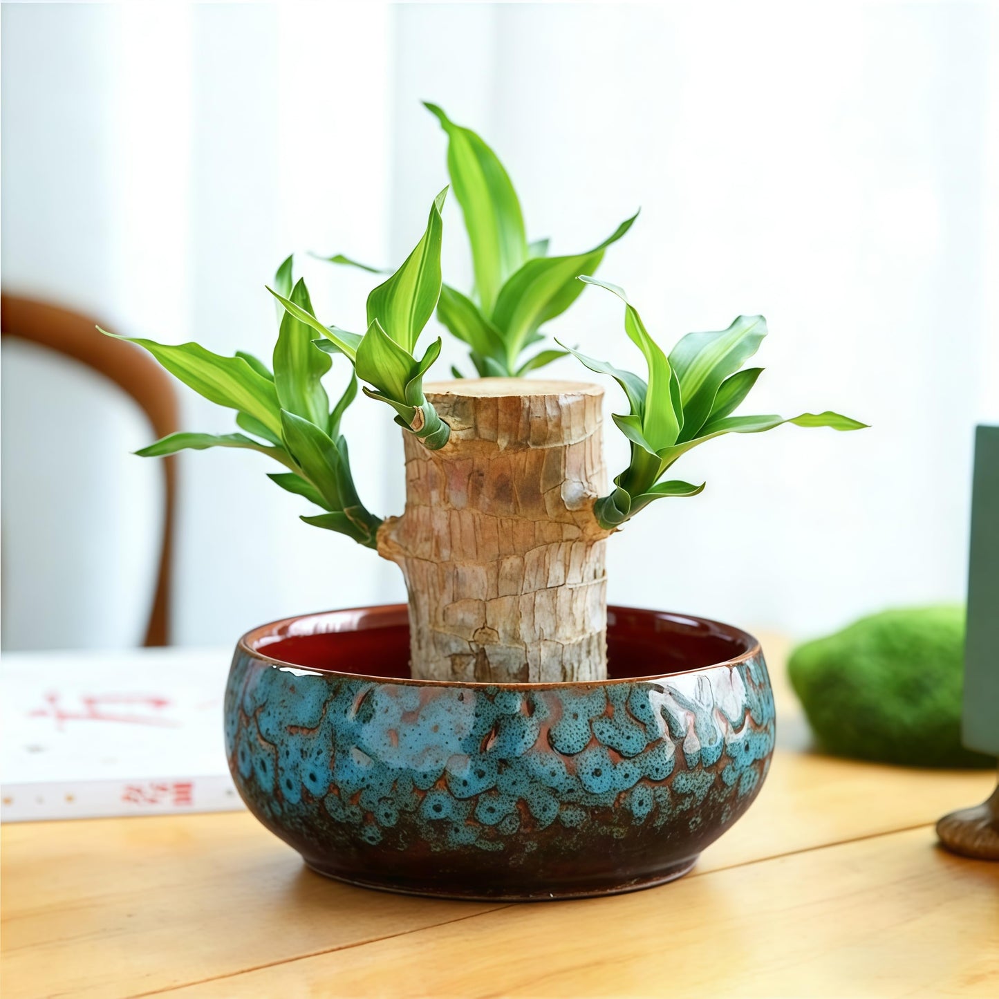 Lotus Bowl Planter, Lotus Bowls for Planting in Water Indoors, Bonsai Bowl Lotus Flower Seeds, Ceramic Planters for Indoor Plants, Applicable to Succulent Plants Hydroponic Plant. (Kiln Turning Blue)