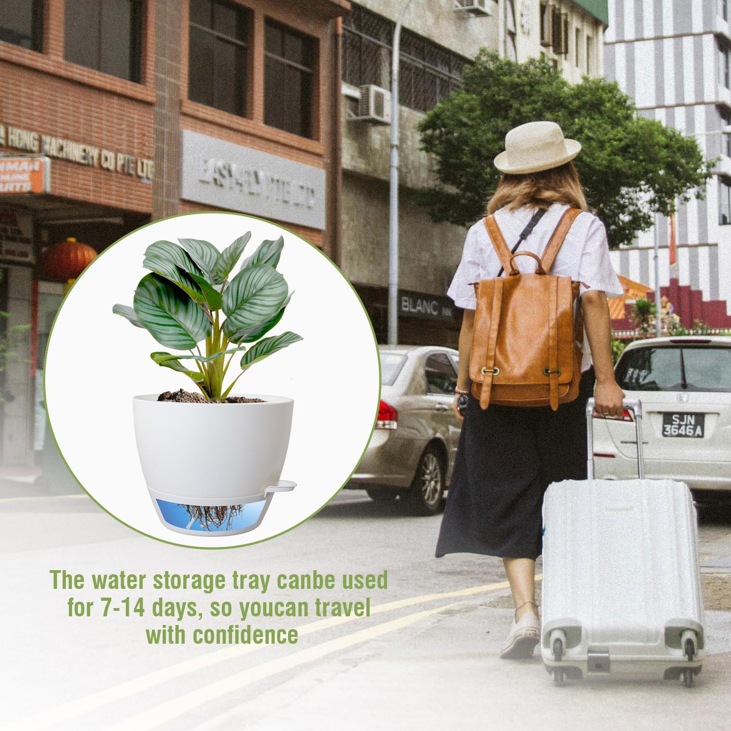 WSMKSZ 10 inch Self Watering Pots, 2 Pack Plastic Planters with Mesh Drainage Holes for Garden Plants and Flower, Plants Pots with Deep Reservoir for Indoor Outdoor Plants, White