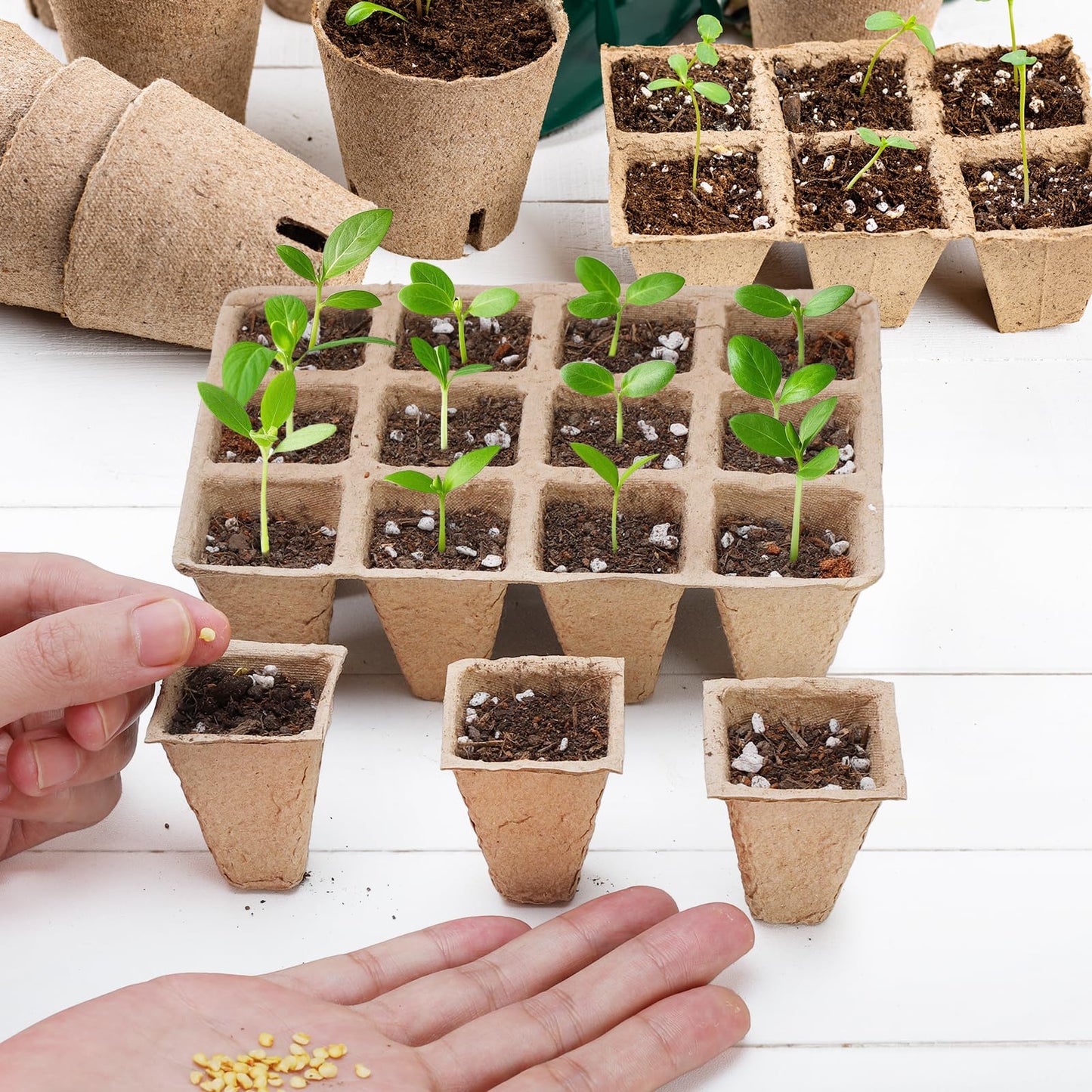 Doter 10 Packs Seedling Starter Trays 120 Cells, Biodegradable Seed Germination Trays Plant Starter Peat Pots for Seedlings
