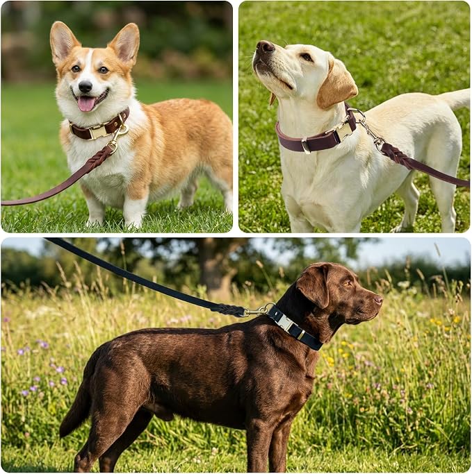 Leather Dog Collar and Leash Set, 6FT Heavy Duty Leather Training Leash with Adjustable Dog Collar, Soft and Durable Dogs Leashes and Collars Set for Small Medium Large Dogs (Brown, XL)
