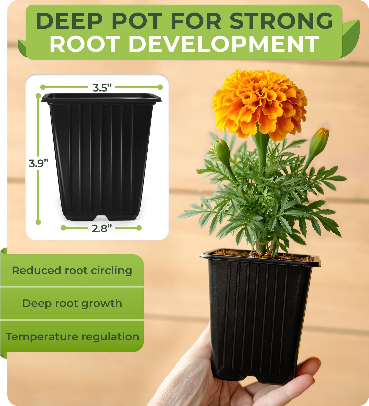 CARPATHEN 60Pack Square Nursery Pots - 3.5 Inch Seedling Plant Pot with Drainage Holes - 1020 Tray Optimized - Reusable Sturdy Seed Starter Pots for Flowers, Vegetables, Greens