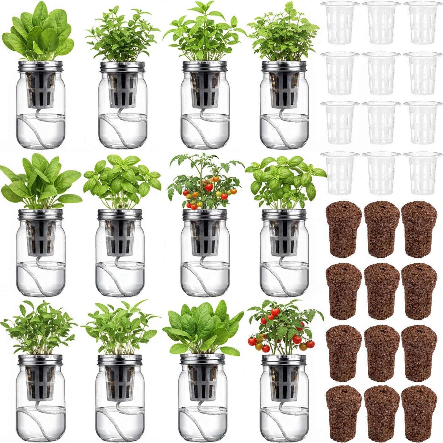 Teenyyou 12 Set Hydroponic Garden Mason Jar Kit Self Watering Herb Hydroponic Planter Starter Kit with Net Pot Garden Flower Plant Growing Gift for Indoor Herbs Windowsill Gardening