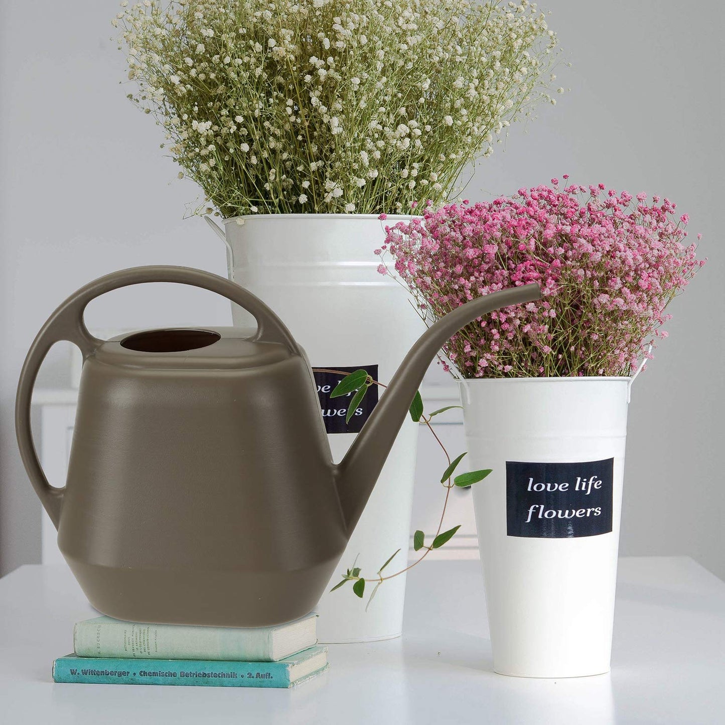 Fasmov Plastic Watering Can, 1-Gallon, Deep Gray