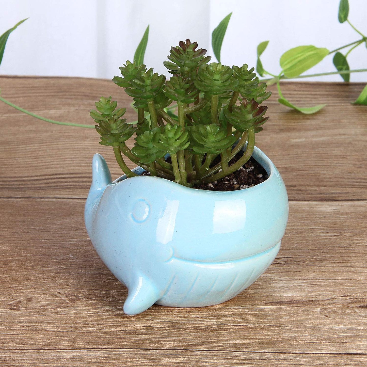 VanEnjoy 5" Ocean Blue Whale Ceramic Succulent Pot, Medium (3.86 x 4.64 x 2.87 inches), Indoor Use