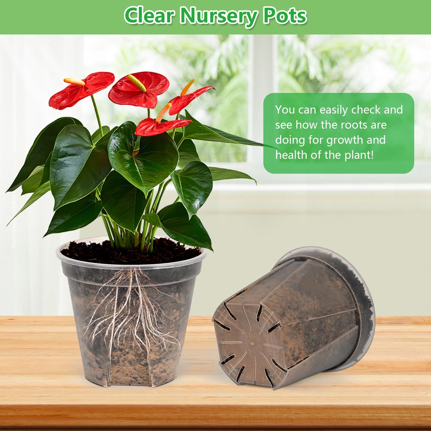 AUGXIXI 10 Sets Transparent Plastic Garden Pots Planter with Saucer 3.9/4.7/5.5/5.9/6.3 inch Plant Pot Nursery Pots Drainage Hole for House Plants, Herb, Flowers, and Cactus with 20pcs Plant Labels